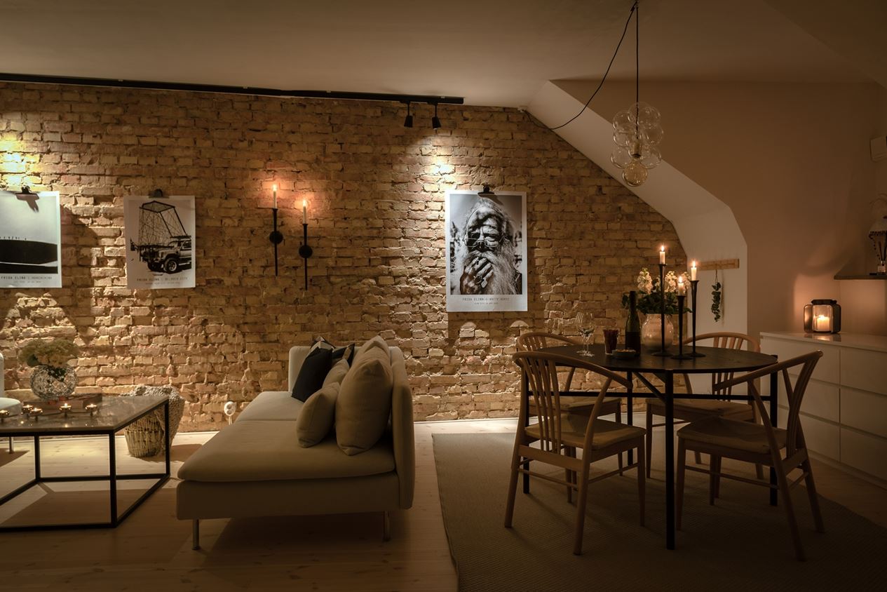salon appartement deux-pièces 54m2 avec murs briques