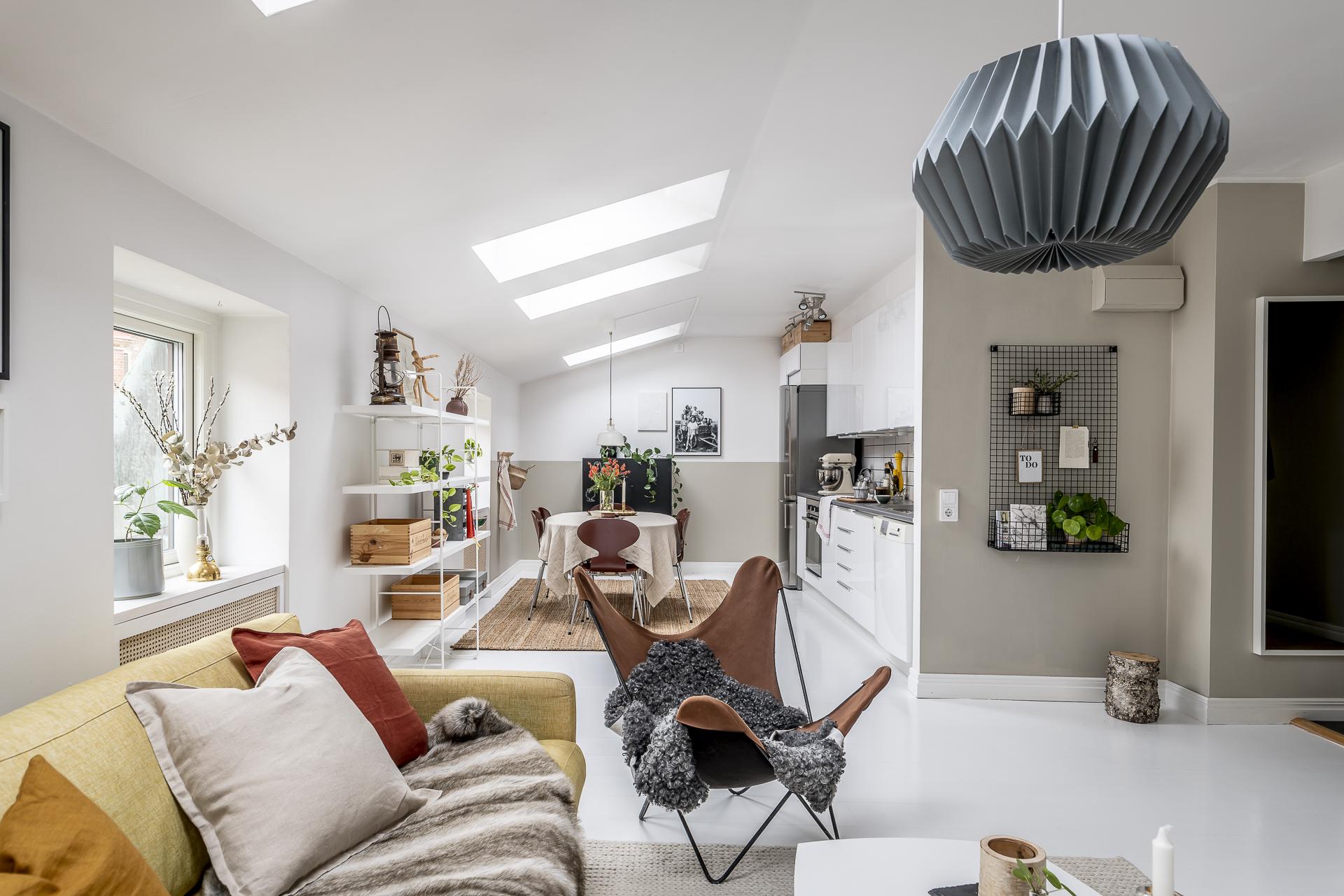 salon avec velux appartement sous combles