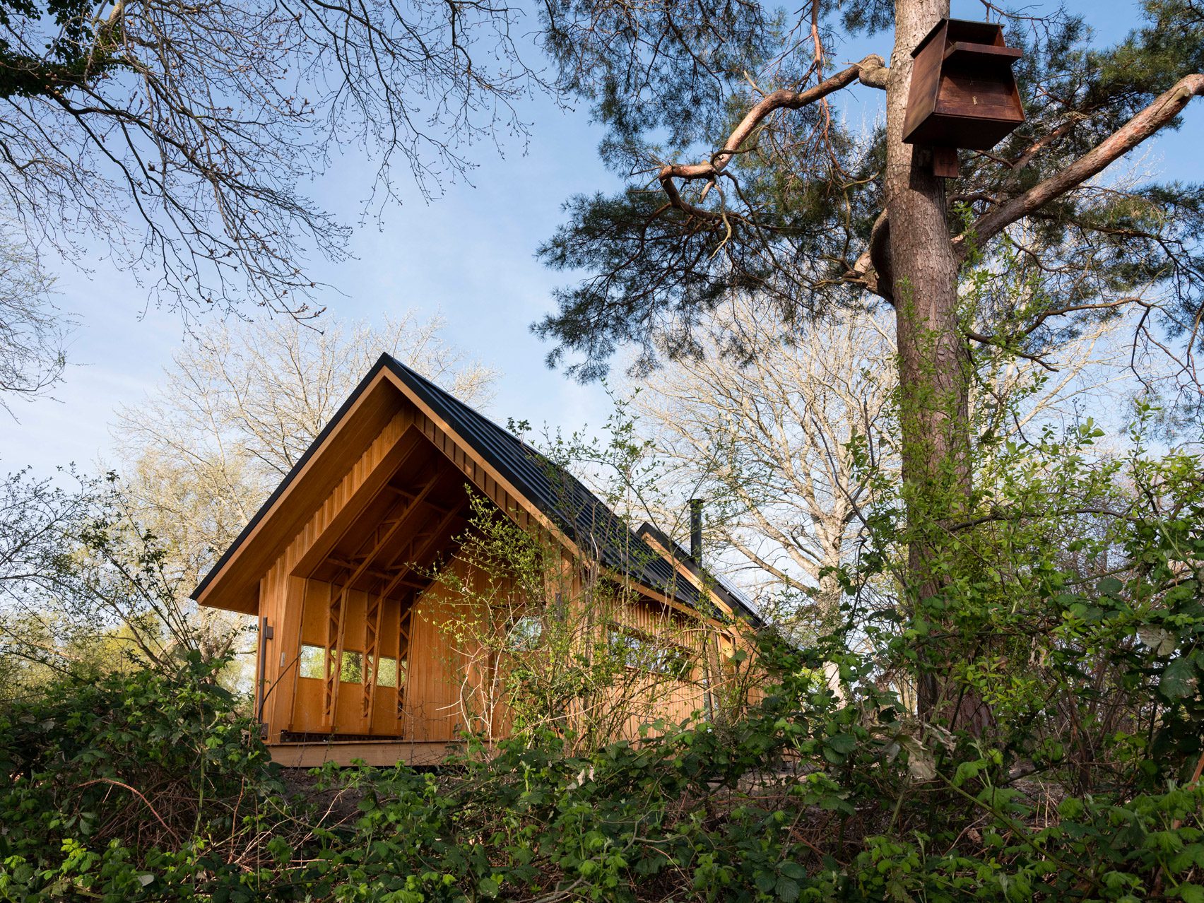 maison en bois cabane Anna