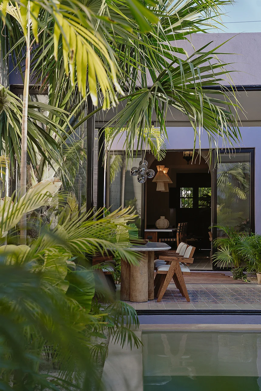 jardin avec piscine