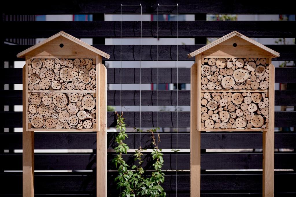maison pour abeilles maison pour abeilles
