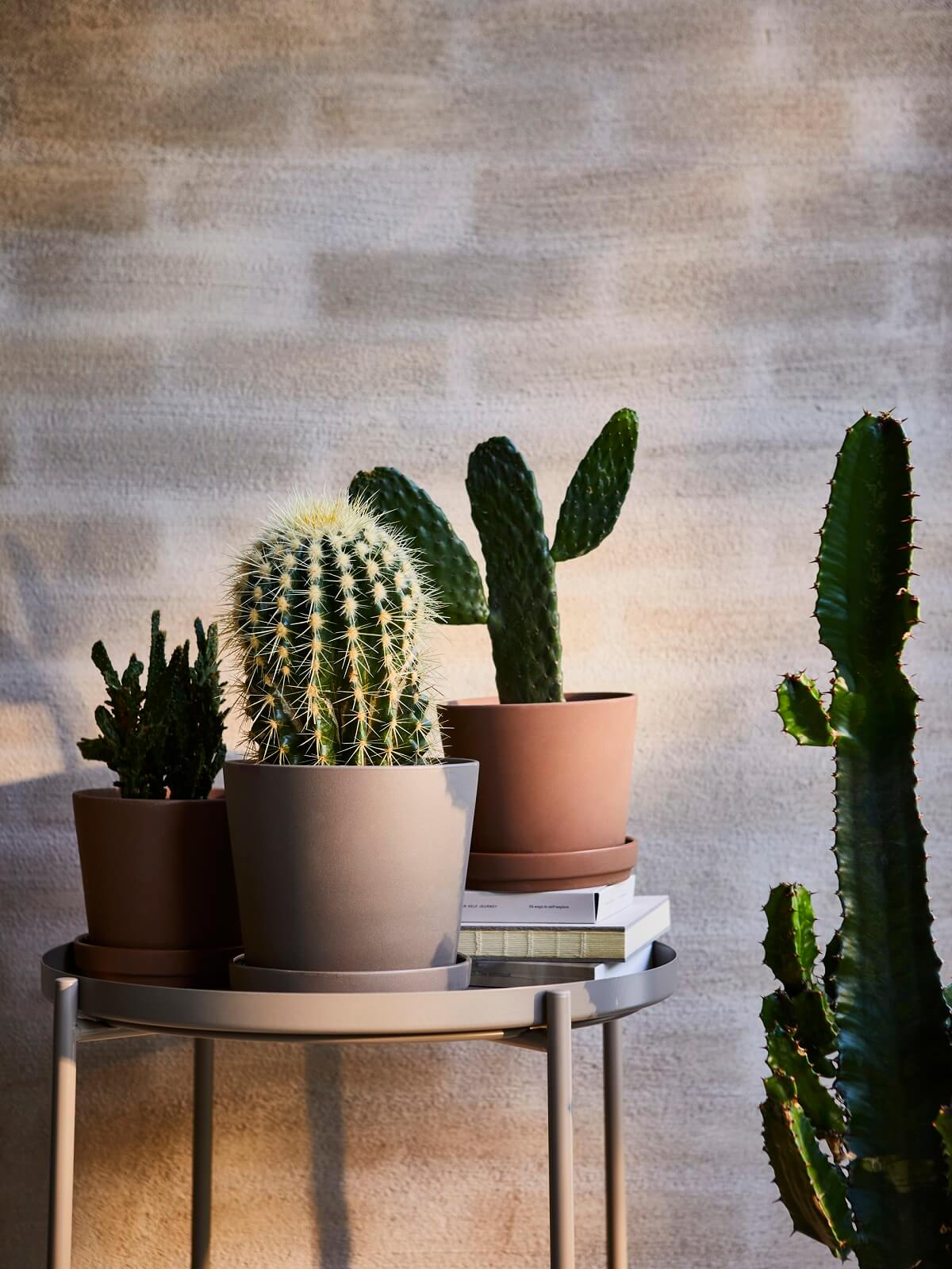 cache pot IKEA 2023 cache pot IKEA 2023