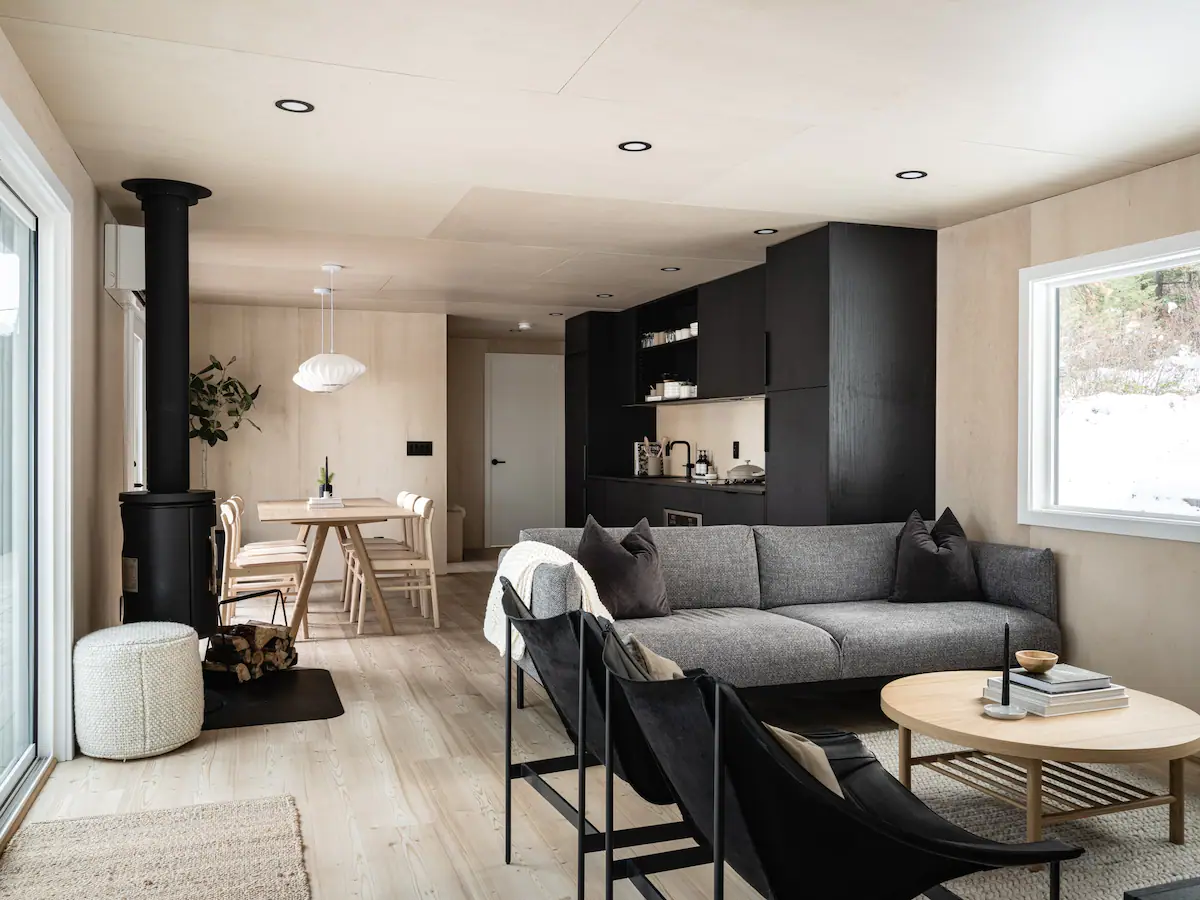 salon maison en bois décoration design