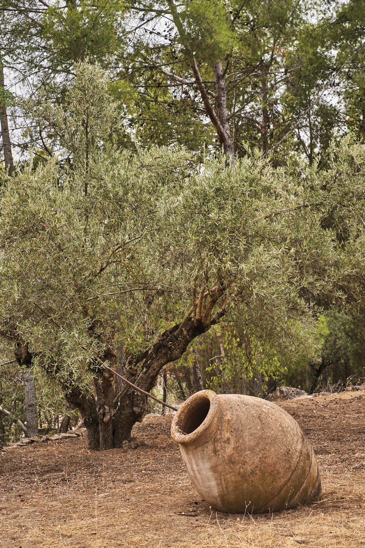 jardin avec poterie jardin avec poterie
