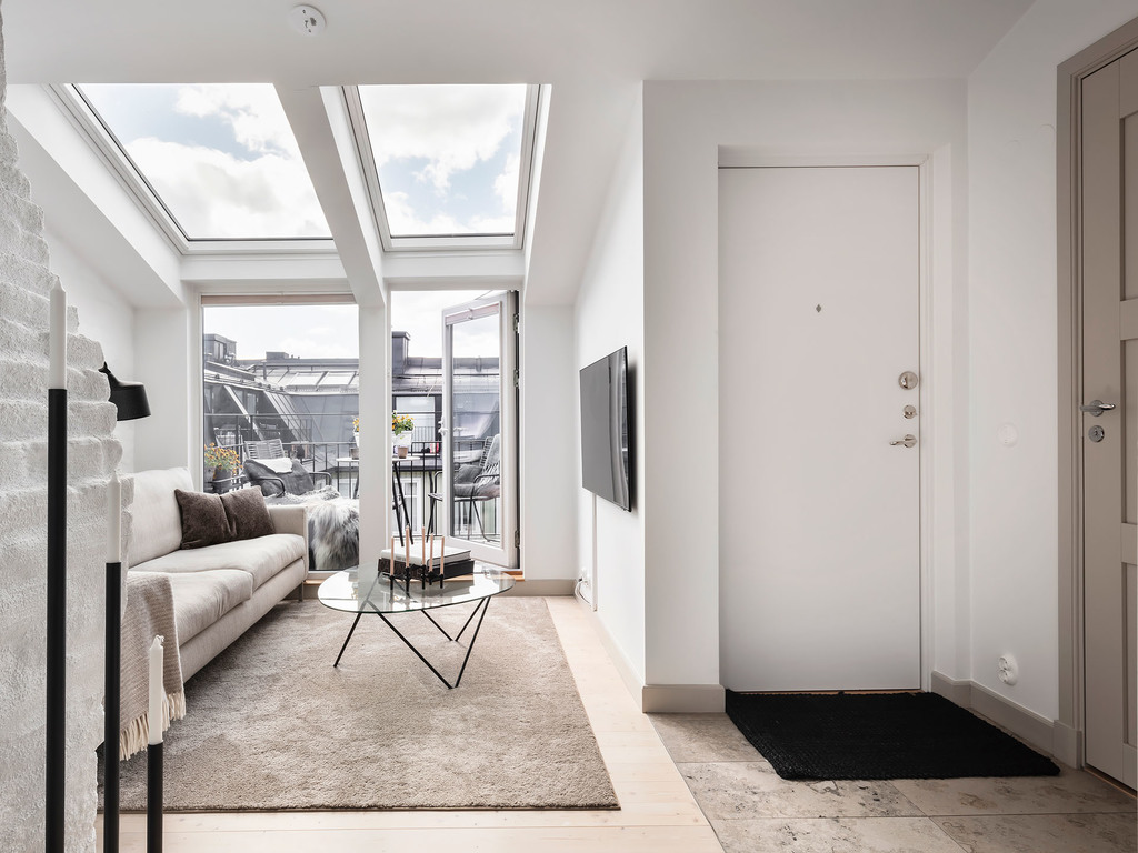 salon avec fenêtres de toit appartement 34m2