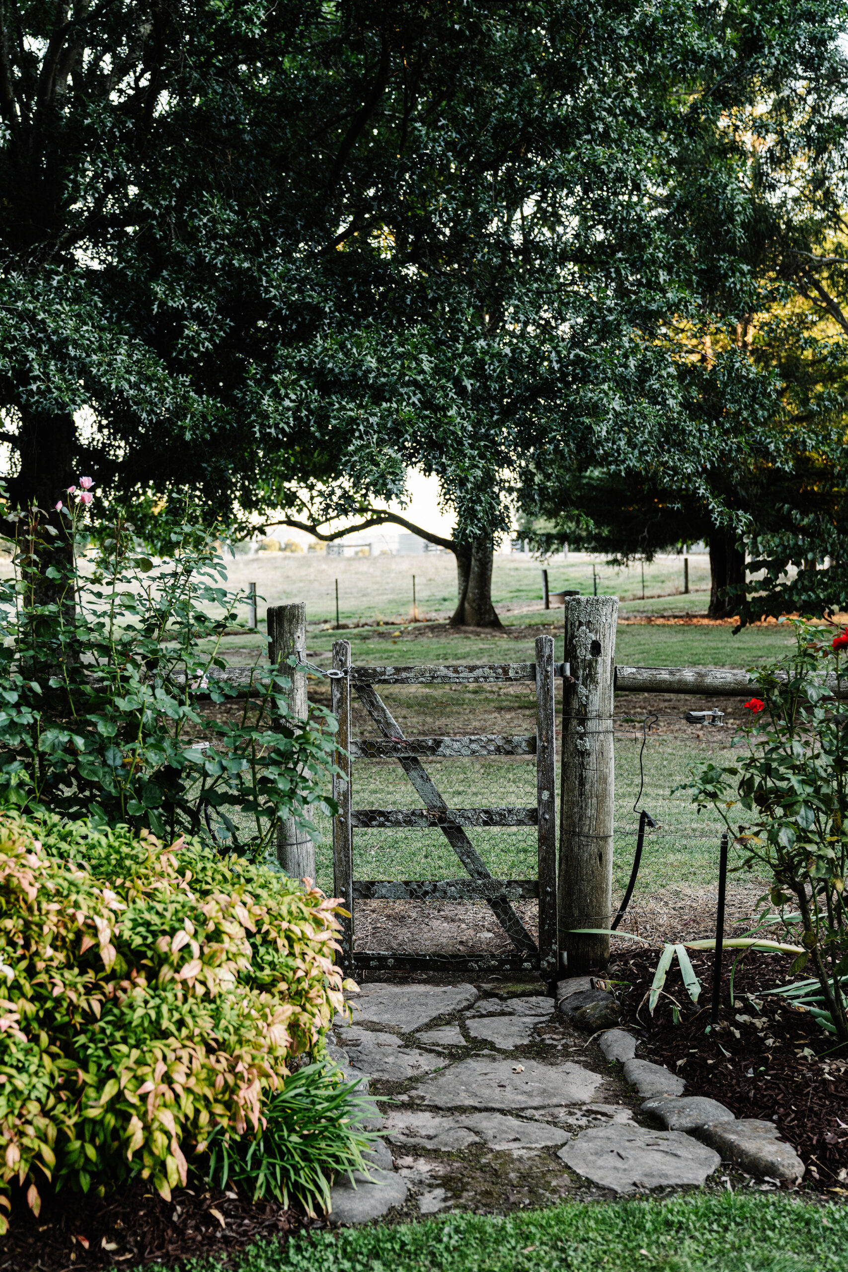 jardin maison Australie
