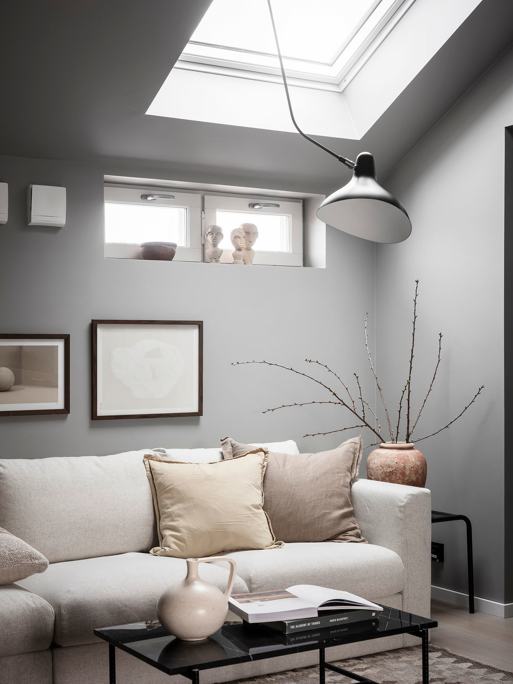 salon avec velux