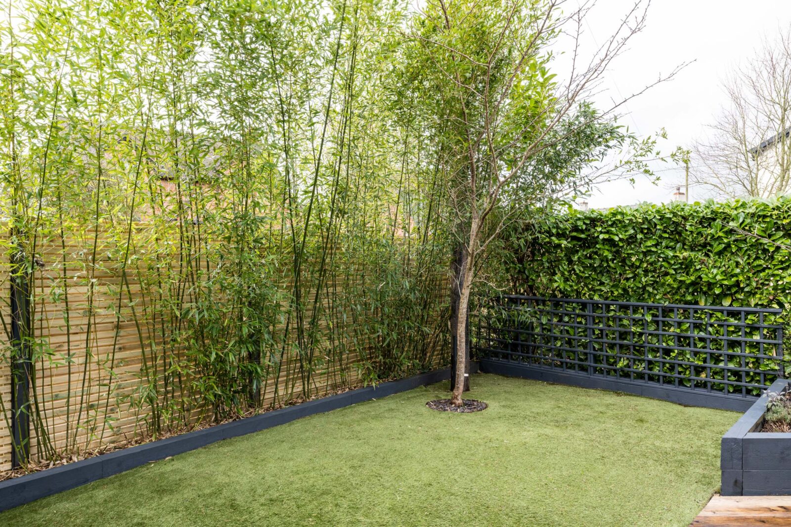 jardin avec bambous jardin avec bambous
