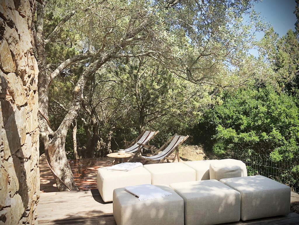 maison en pierres et oliviers maison en pierres et oliviers