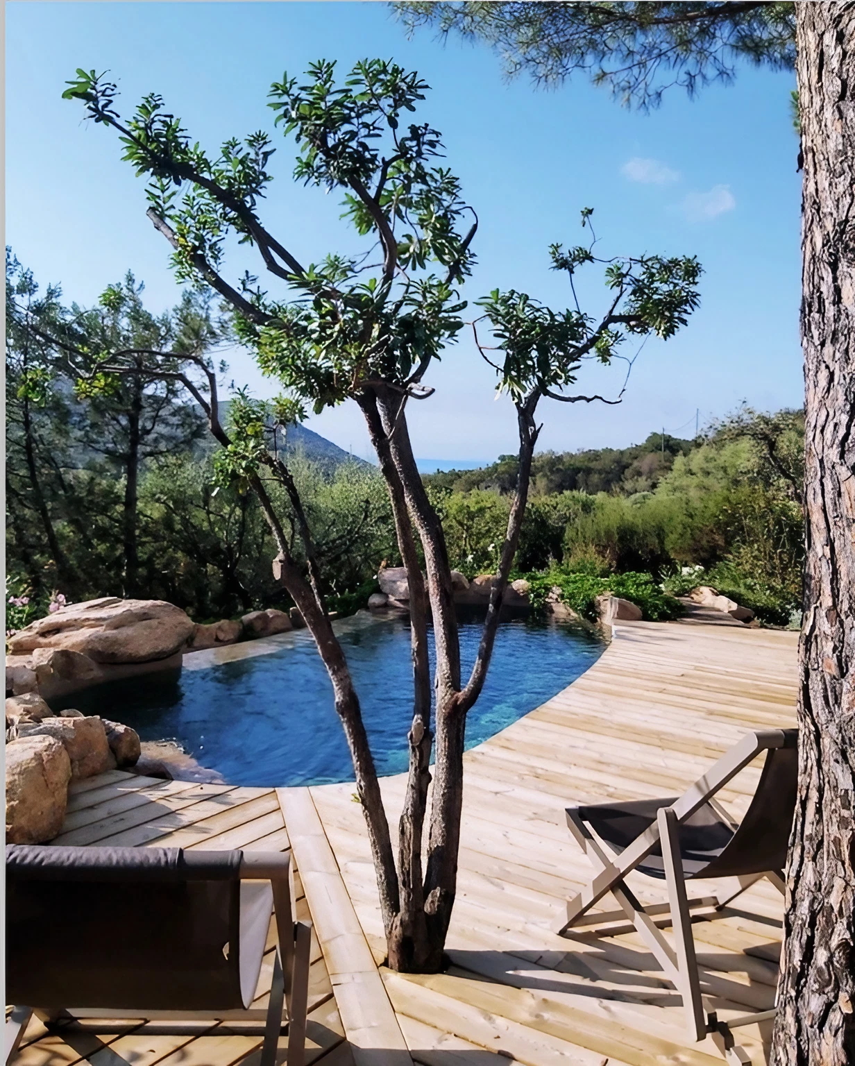 terrasse en bois avec piscine terrasse en bois avec piscine