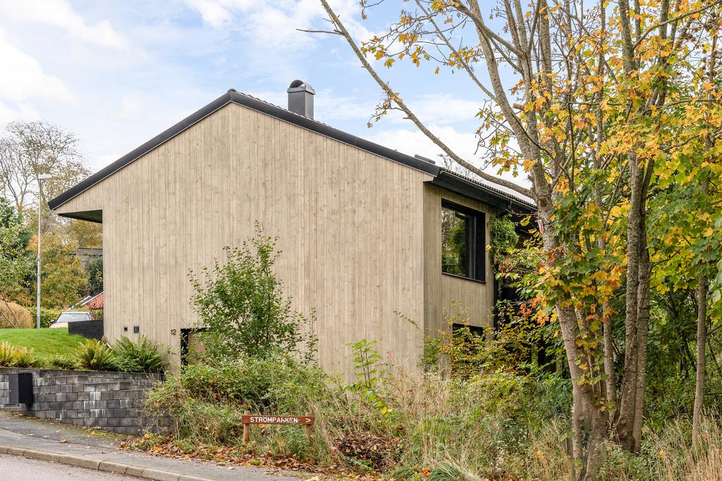 maison en bois