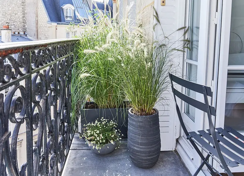 bac à plantes sur balcon filant aménagé bac à plantes sur balcon filant aménagé