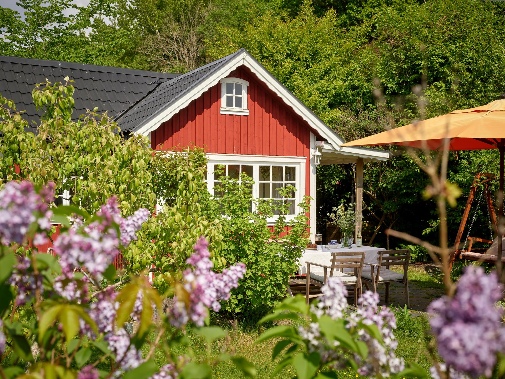 petite maison en bois rouge 19m2 et jardin petite maison en bois rouge 19m2 et jardin