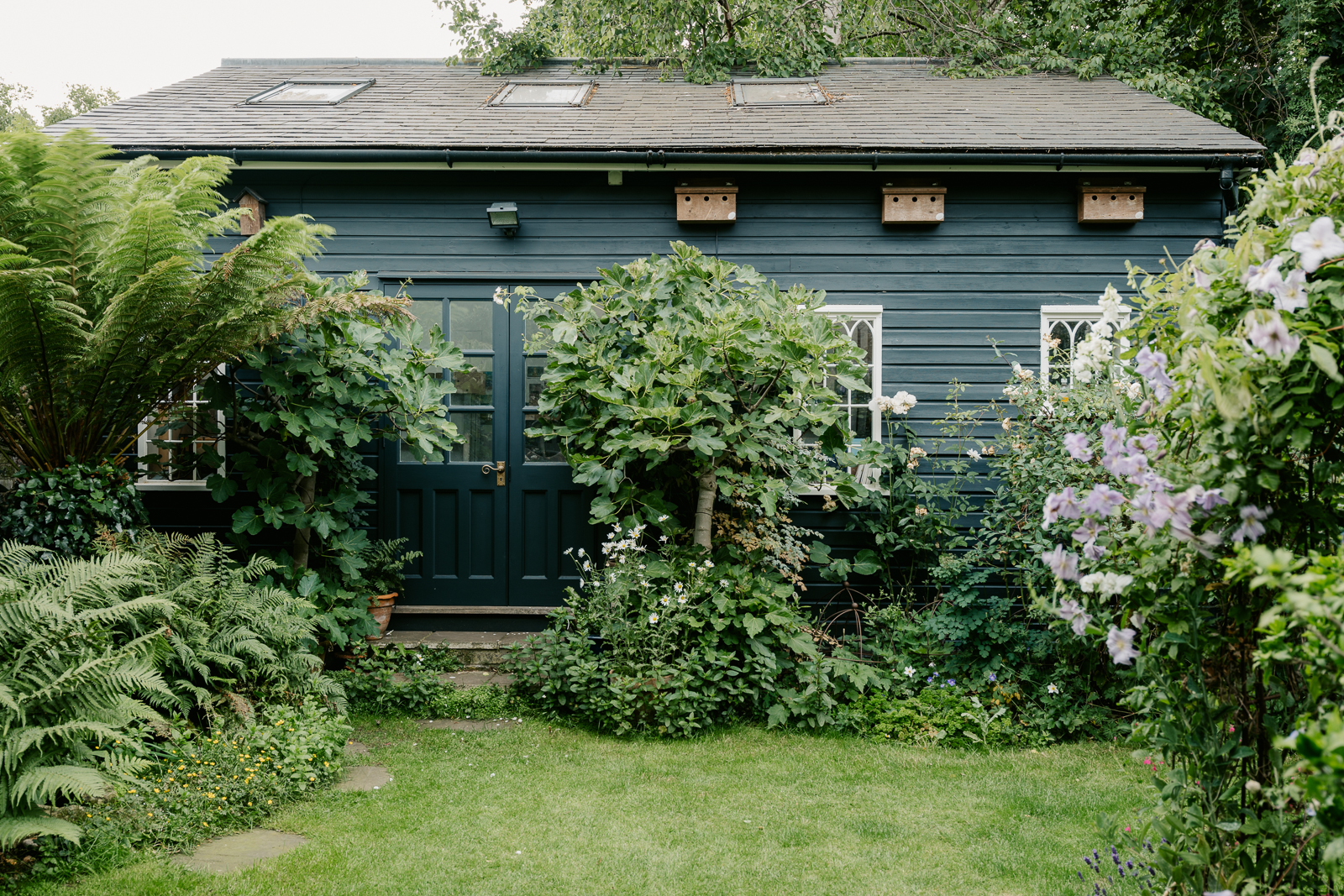 studio de jardin en bois