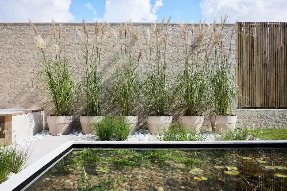 bassin dans jardin de ville avec terrasse bois Leroy Merlin