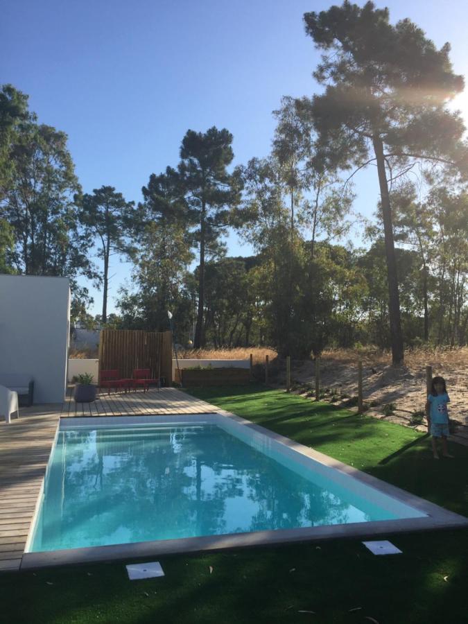 piscine dans jardin avec pins