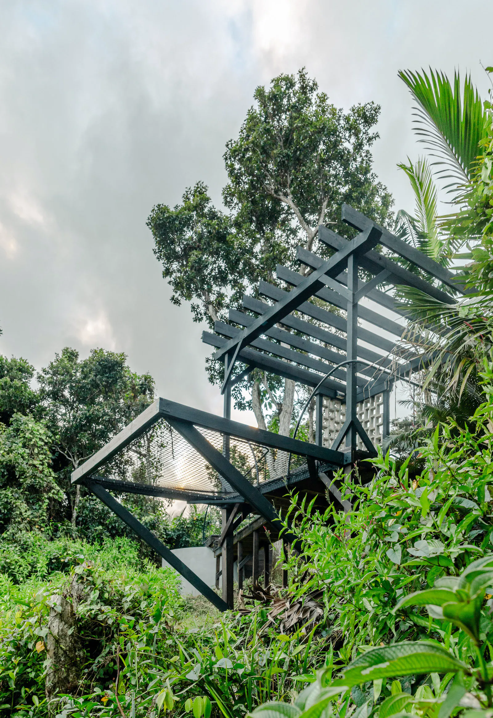 pergola bois noir