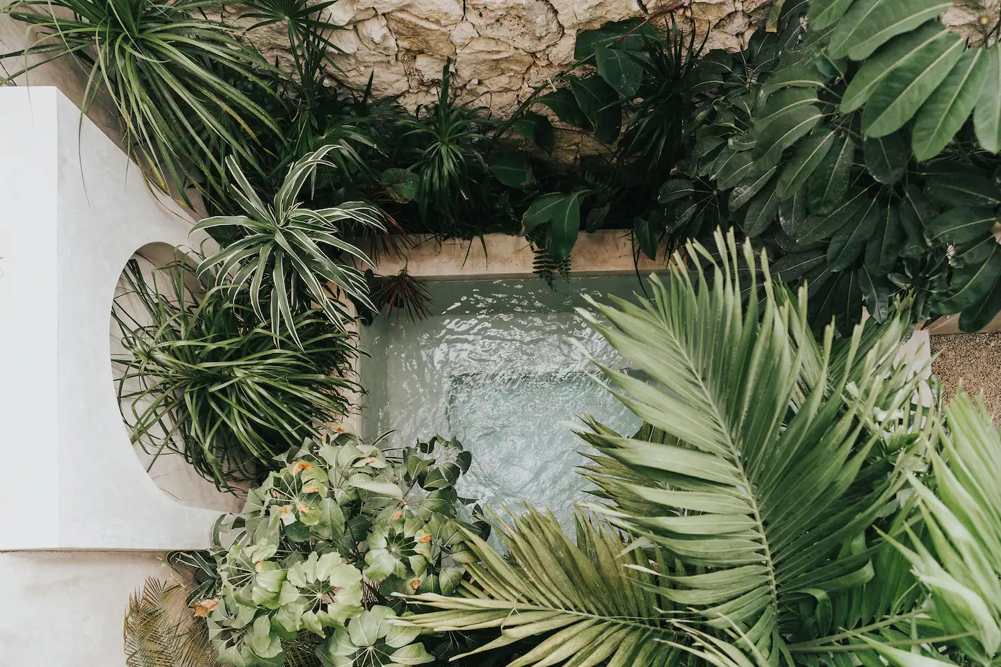 jardin avec murs pierres et piscine jardin avec murs pierres et piscine