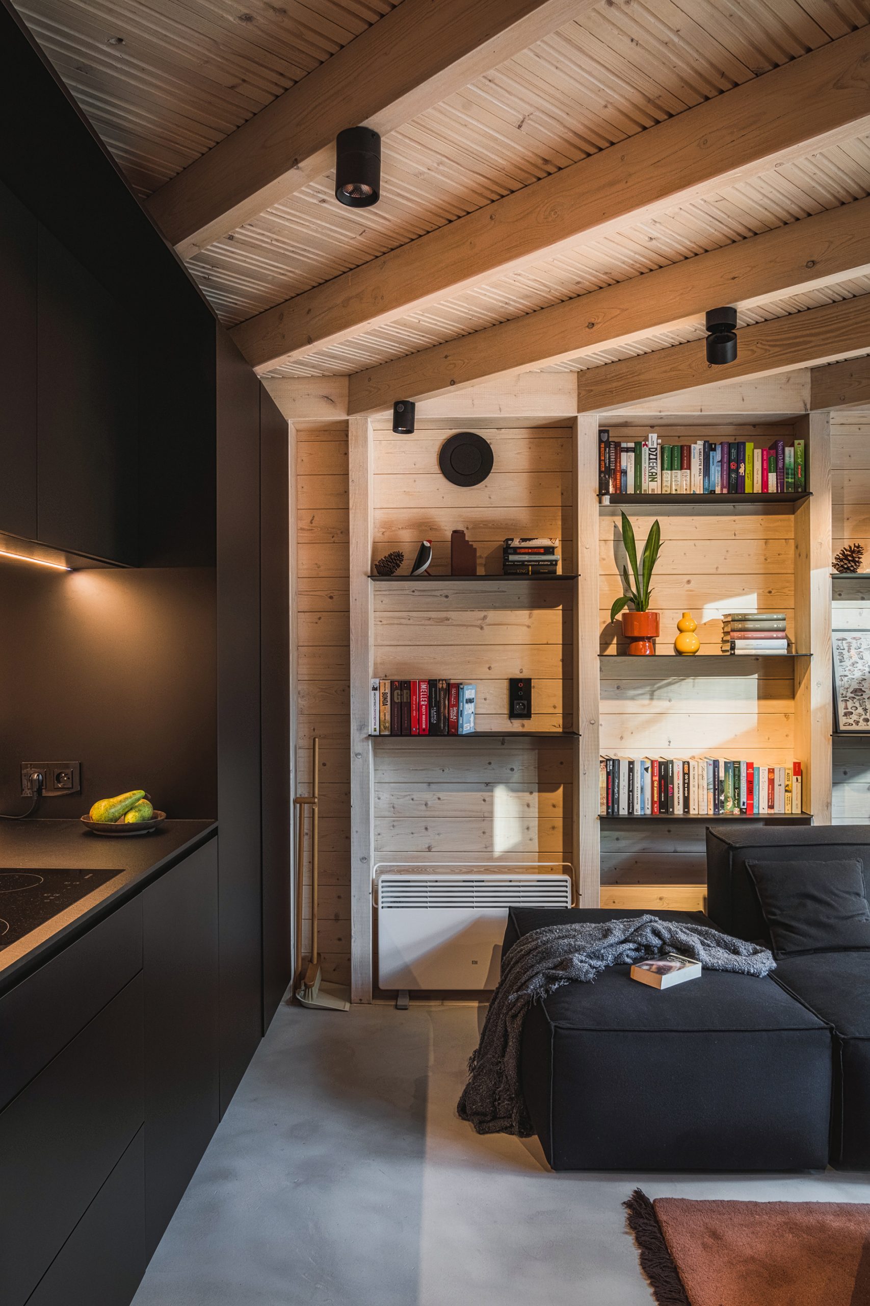 salon avec cuisine ouverte mini maison en bois 40m2 salon avec cuisine ouverte mini maison en bois 40m2
