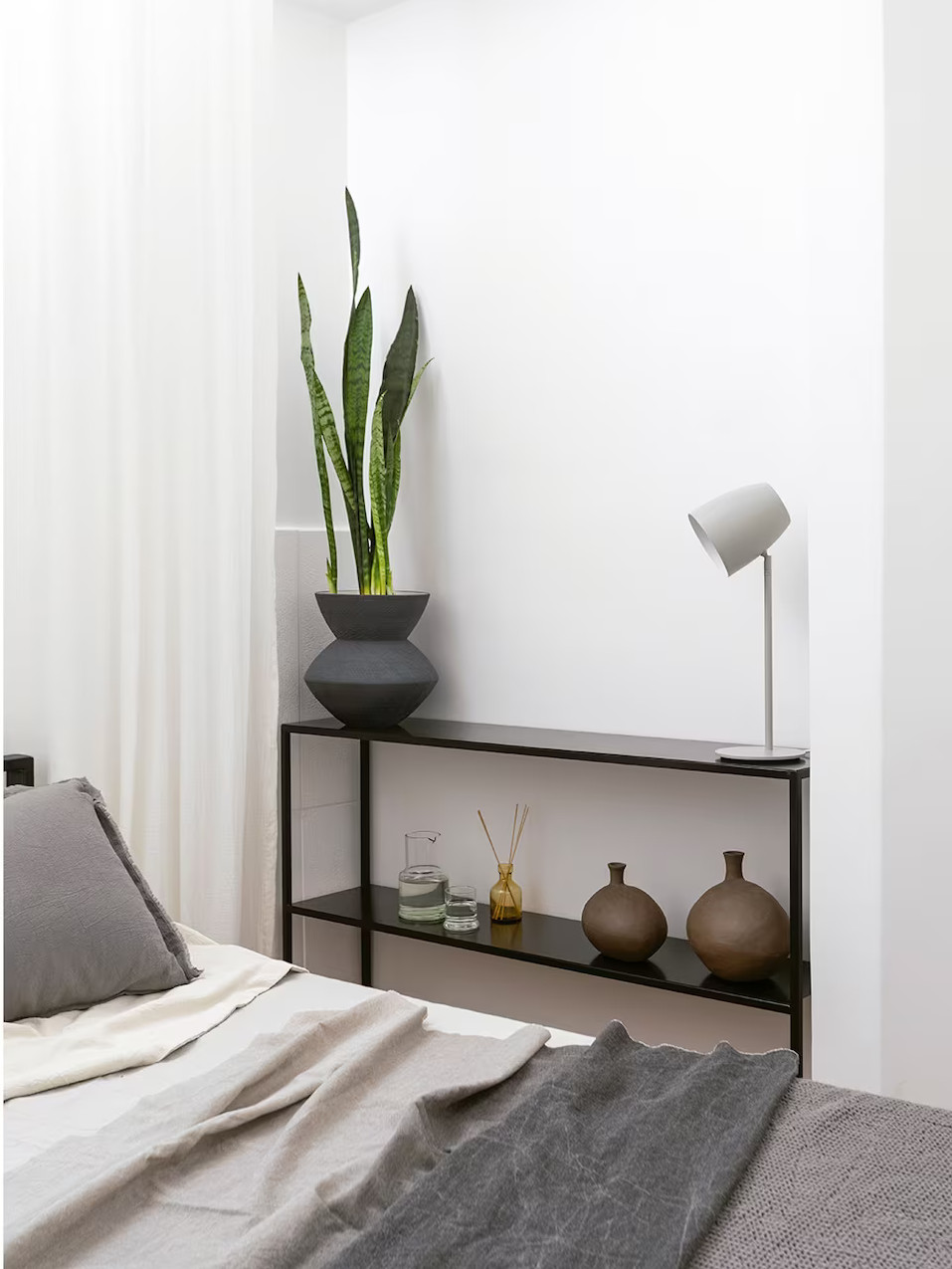 console avec plante verte console avec plante verte