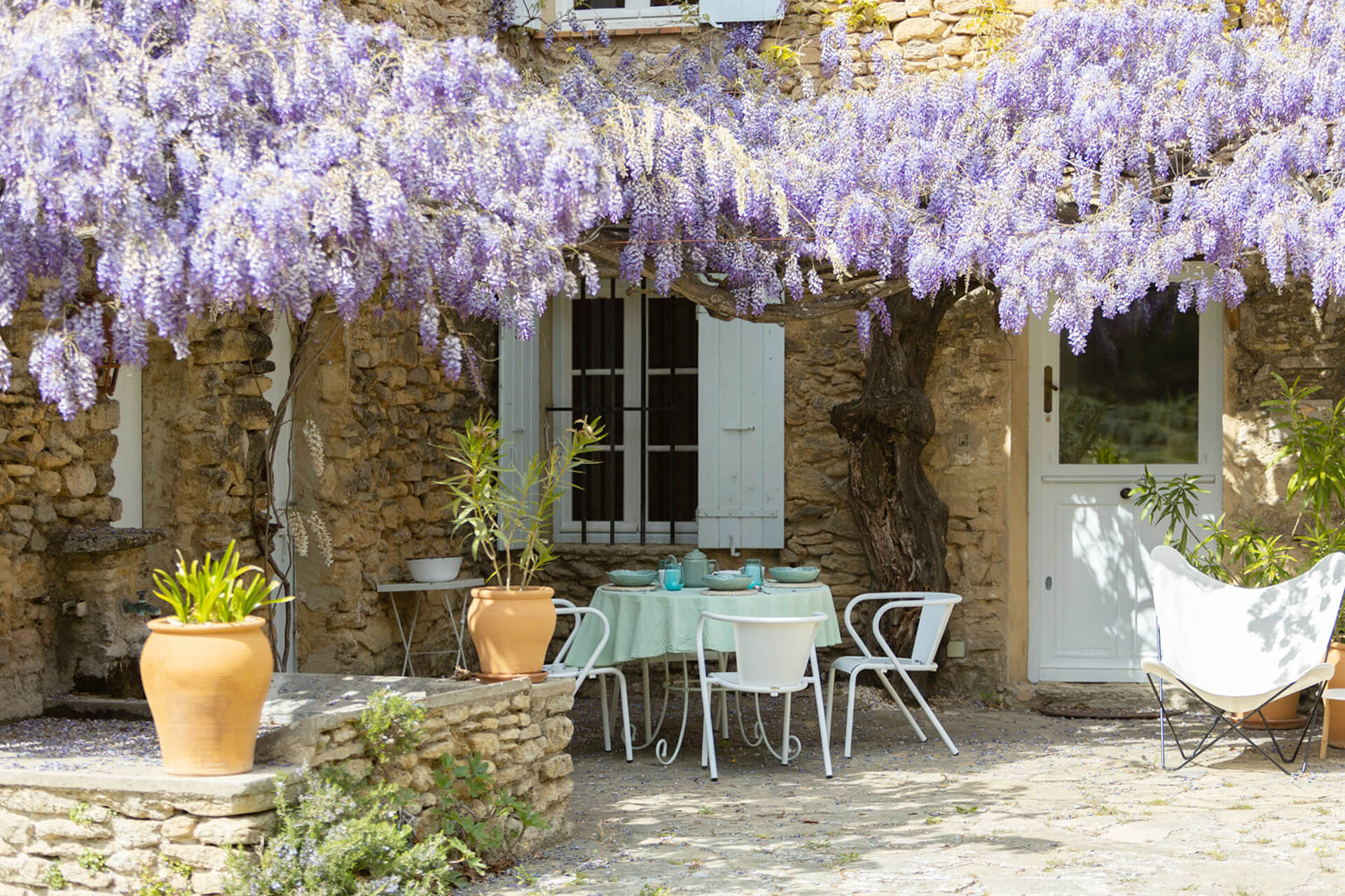 terrasse avec glycine maison en pierre Le mas Couvaloup en Provence terrasse avec glycine maison en pierre Le mas Couvaloup en Provence