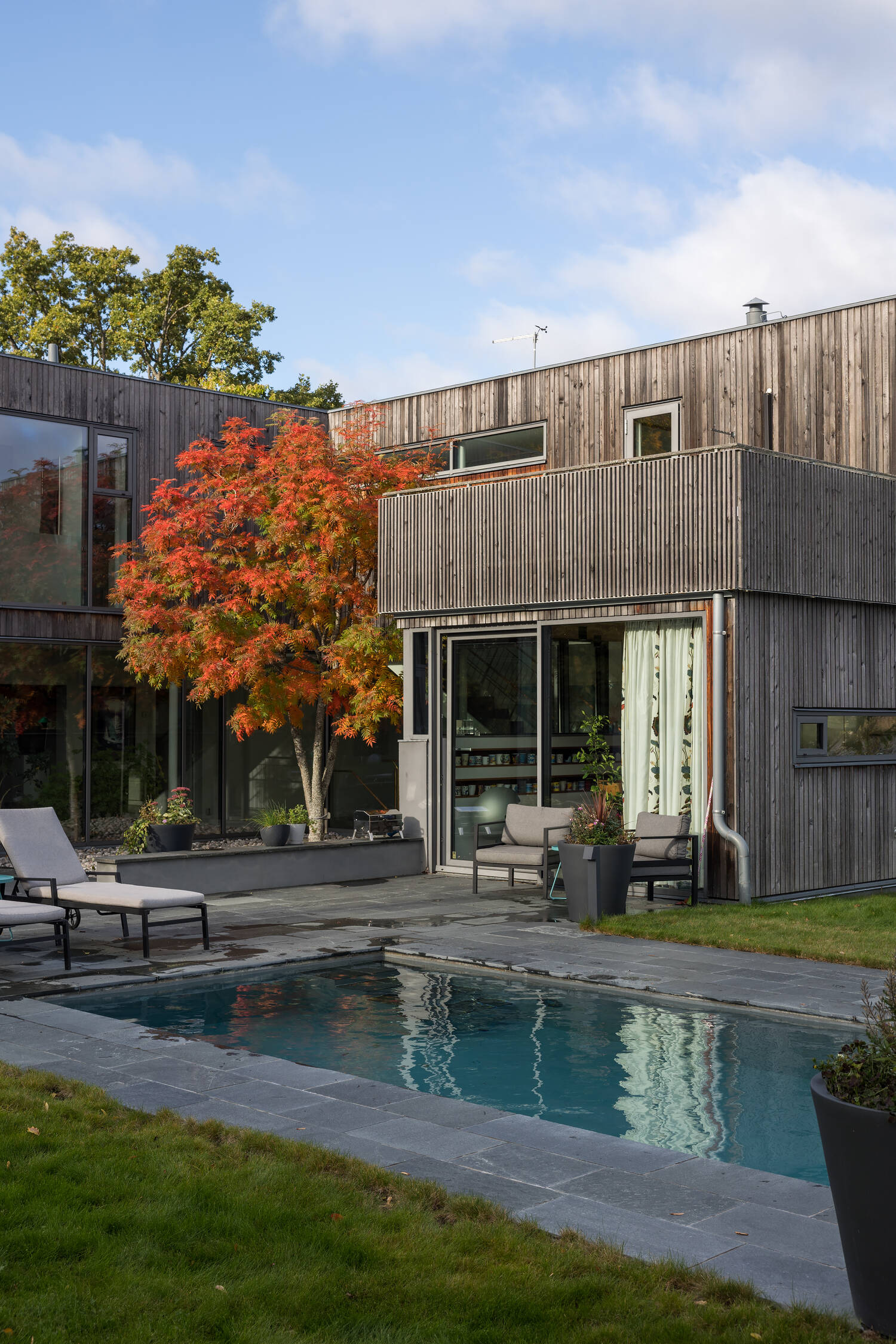 maison en bois avec piscine