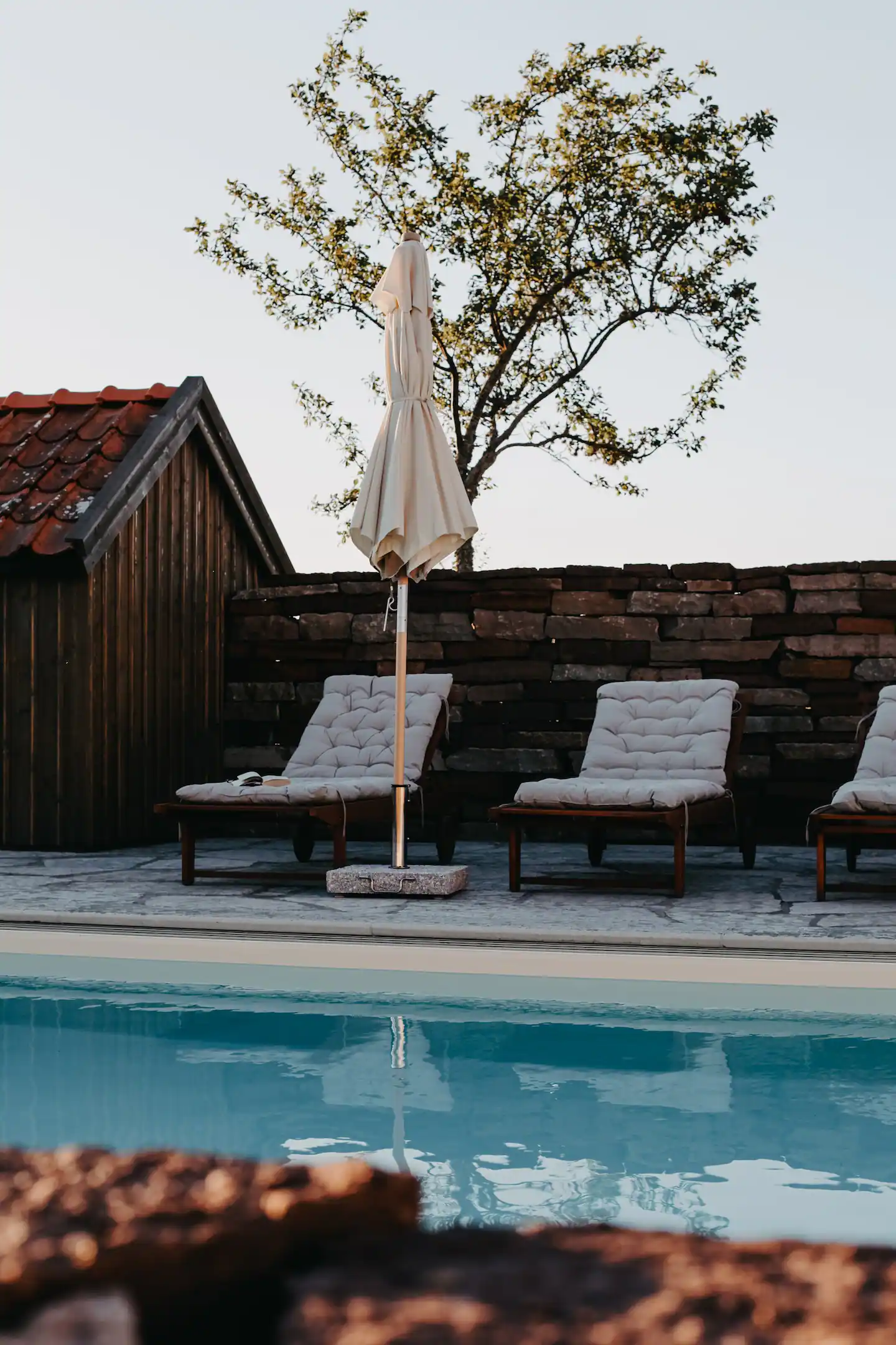jardin avec piscine jardin avec piscine