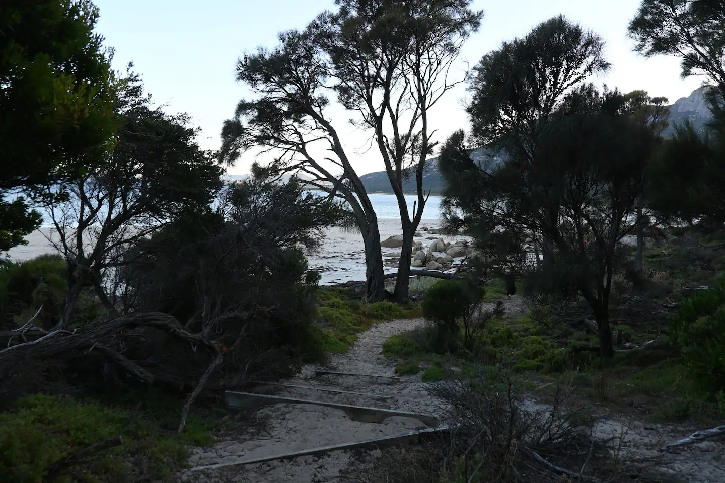 paysage Tasmanie paysage Tasmanie
