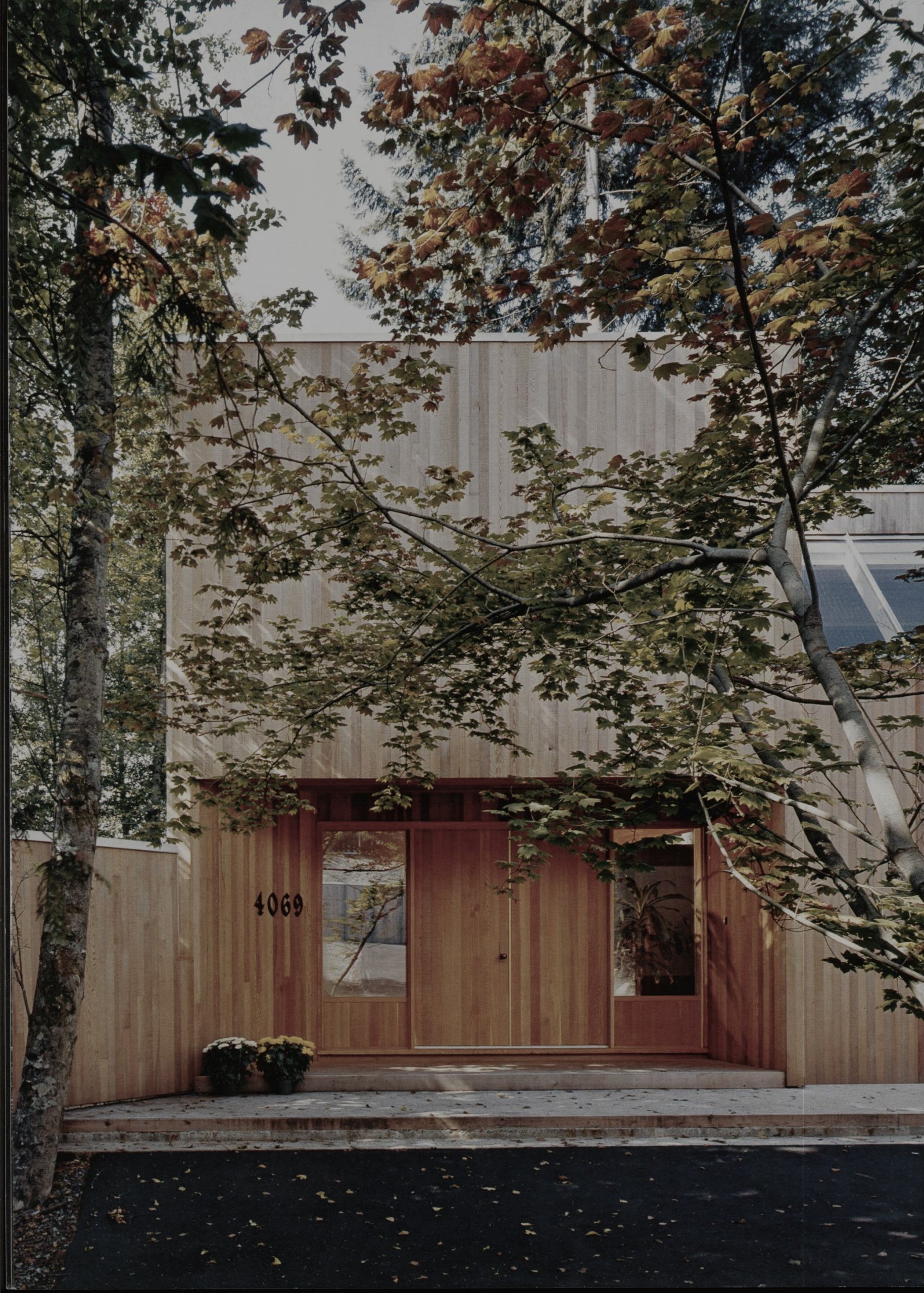 maison contemporaine bois 