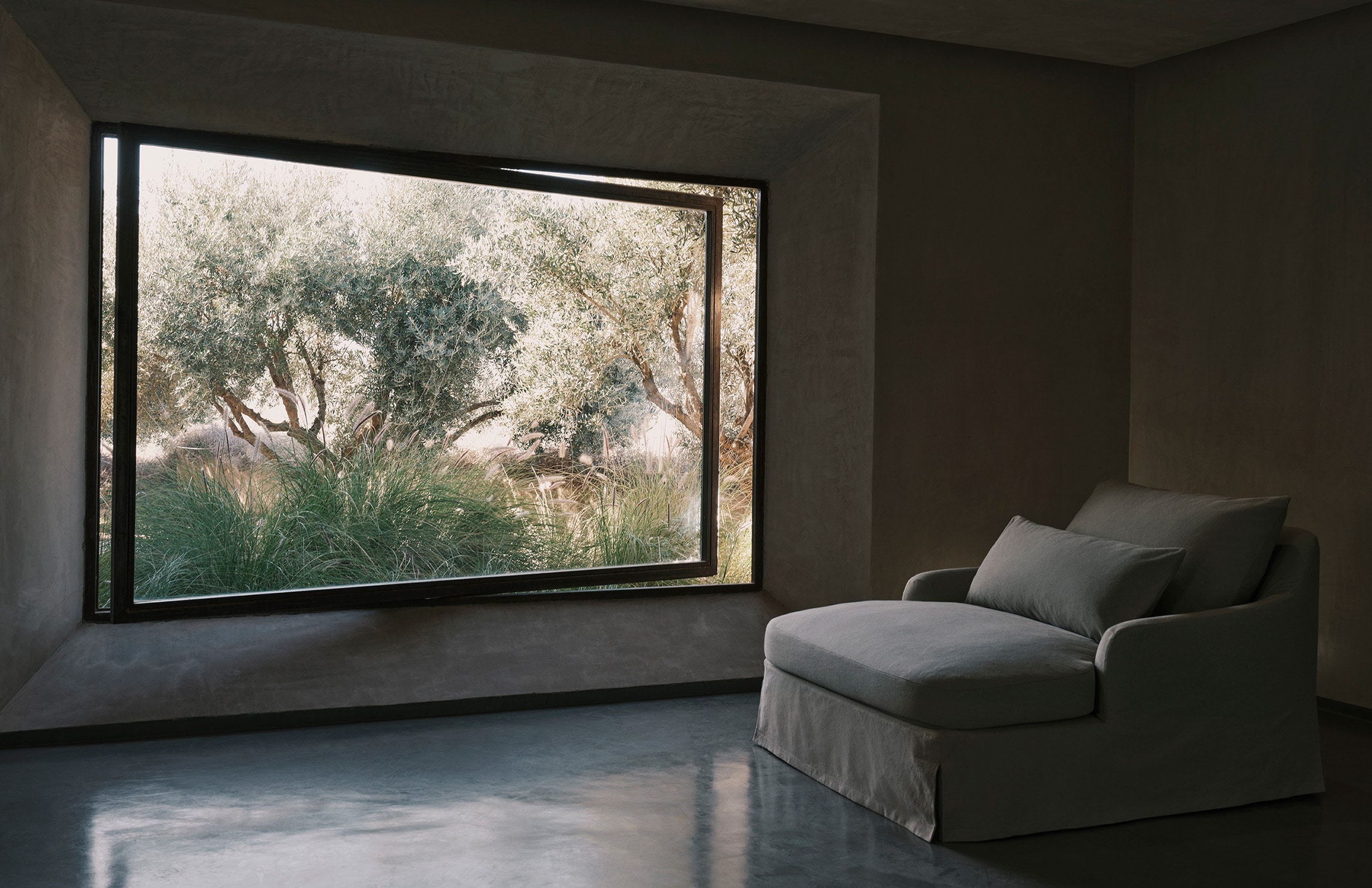 salon avec picture window
