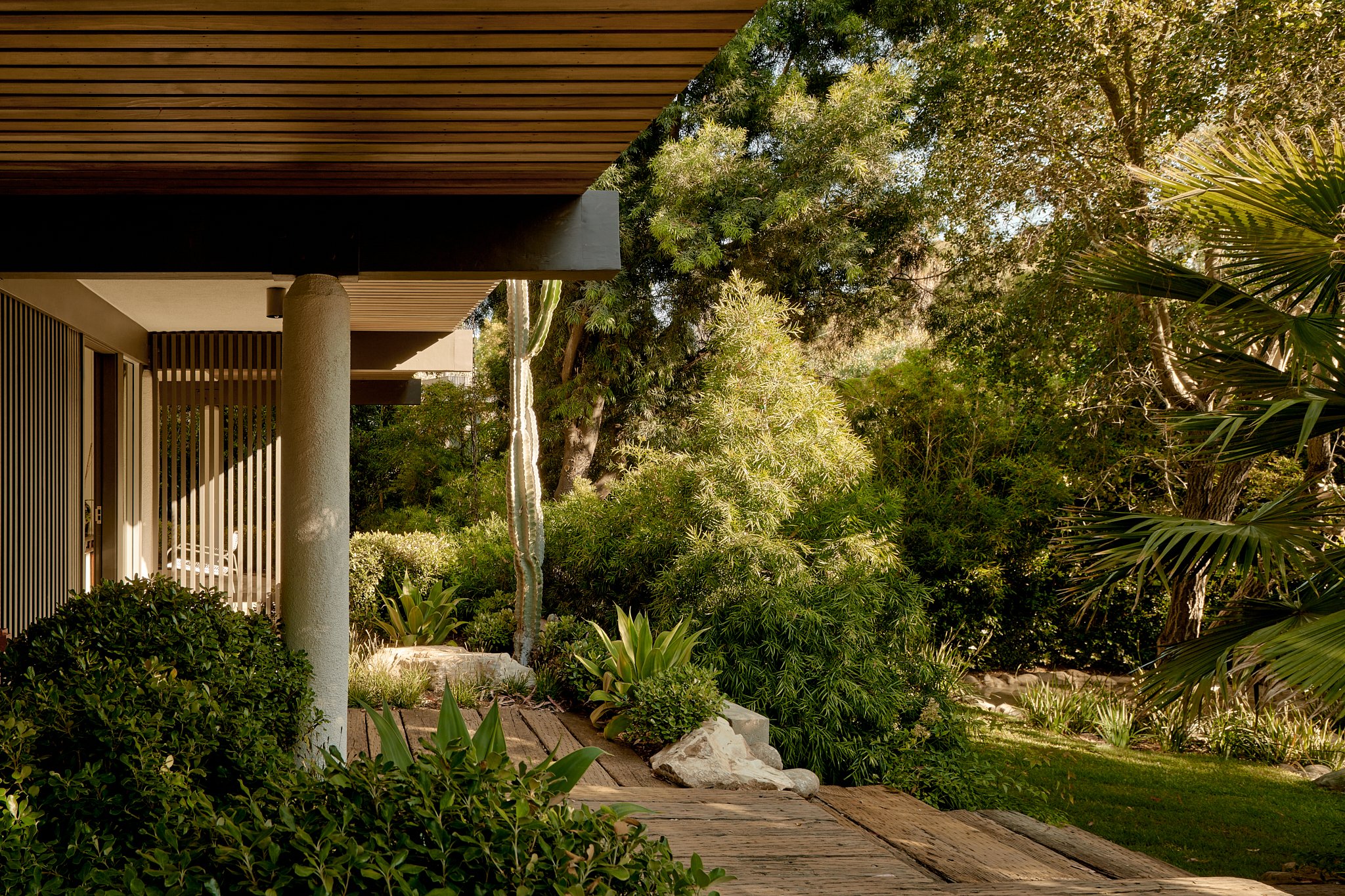 jardin maison moderne