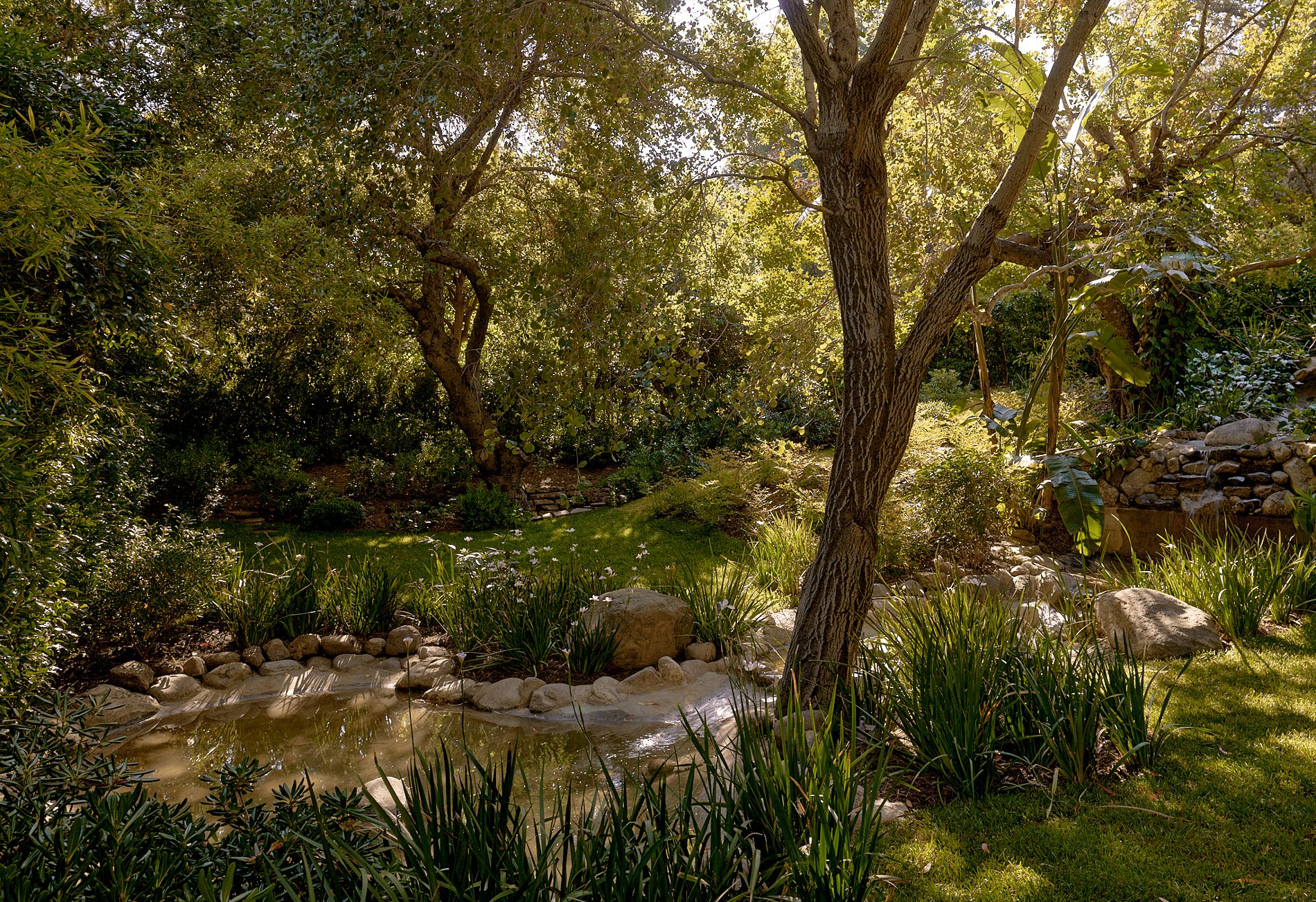 jardin