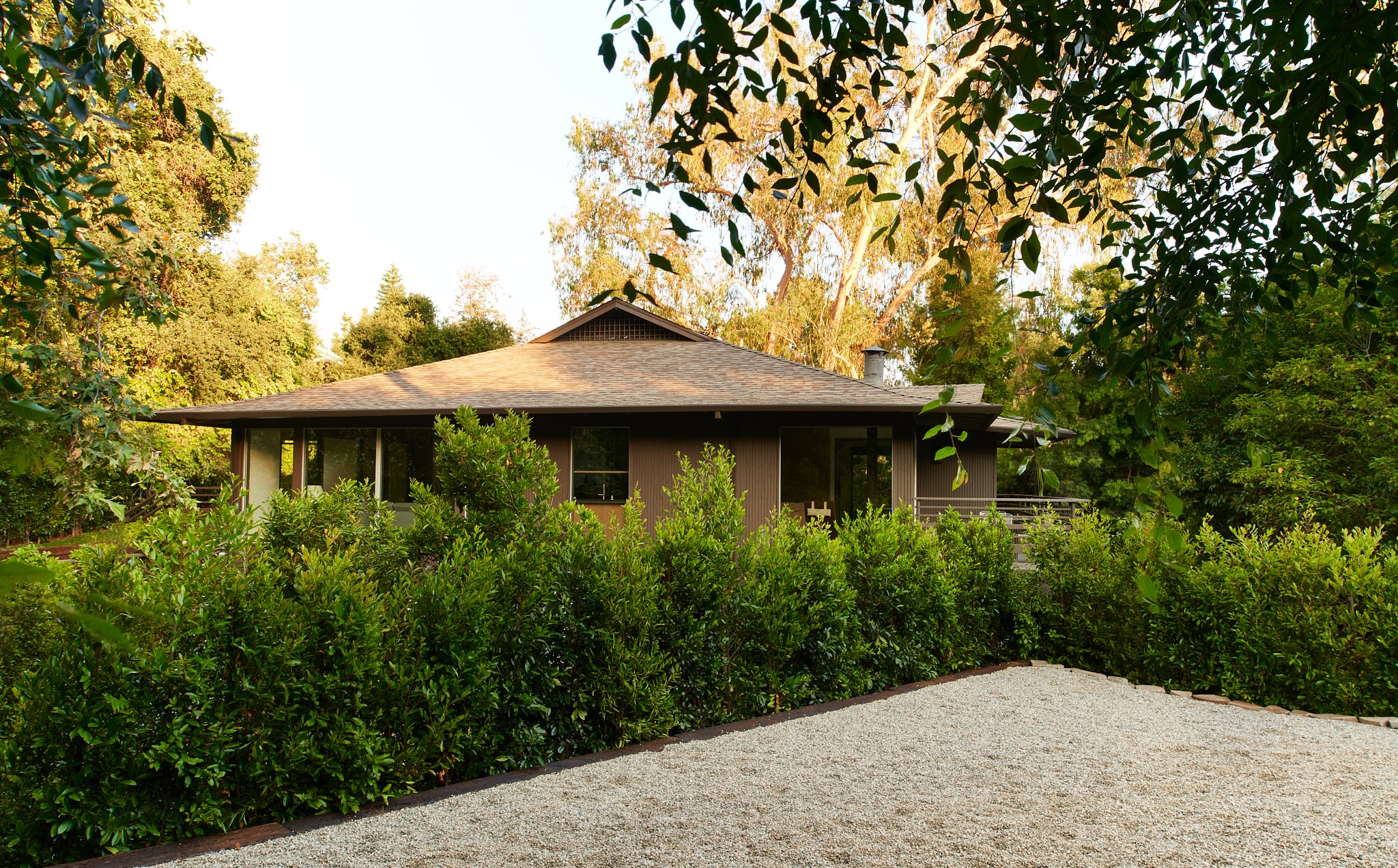 jardin maison moderne