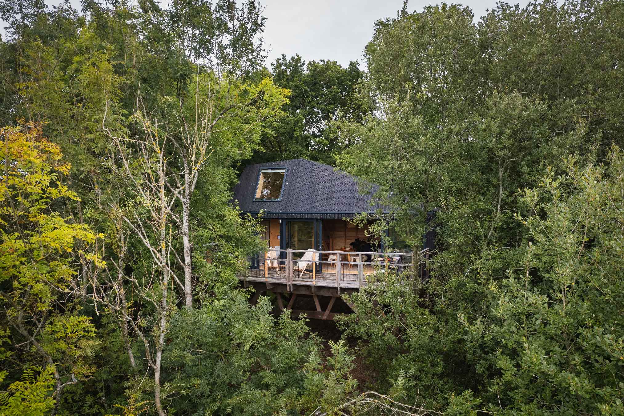 maison en bois noir dans les arbres