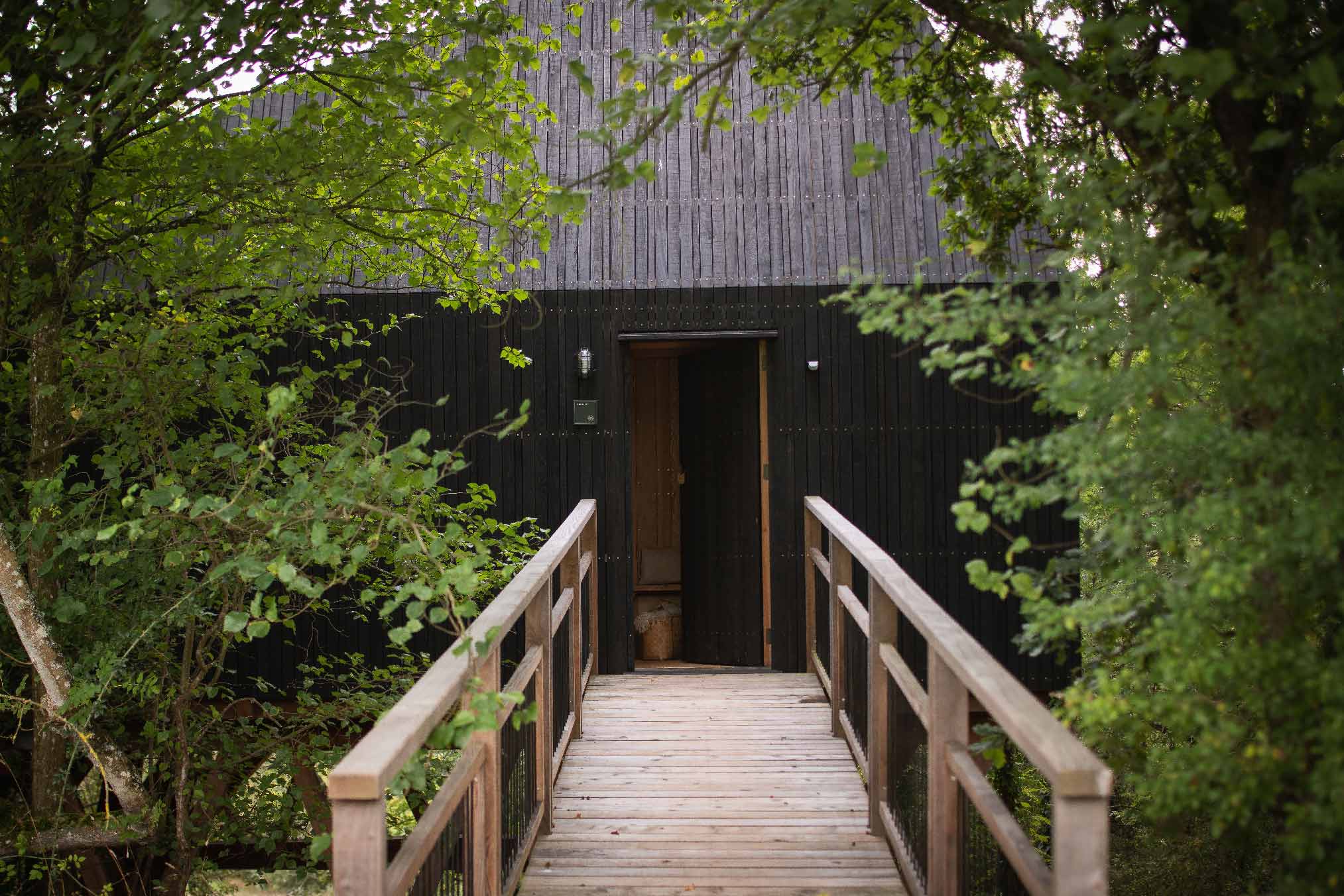 maison en bois noir dans les arbres