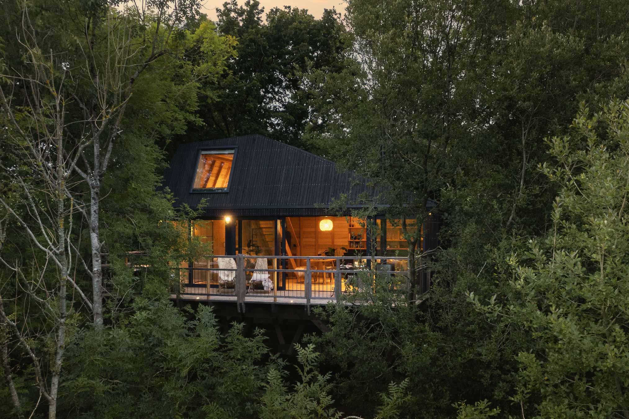maison en bois noir dans les arbres