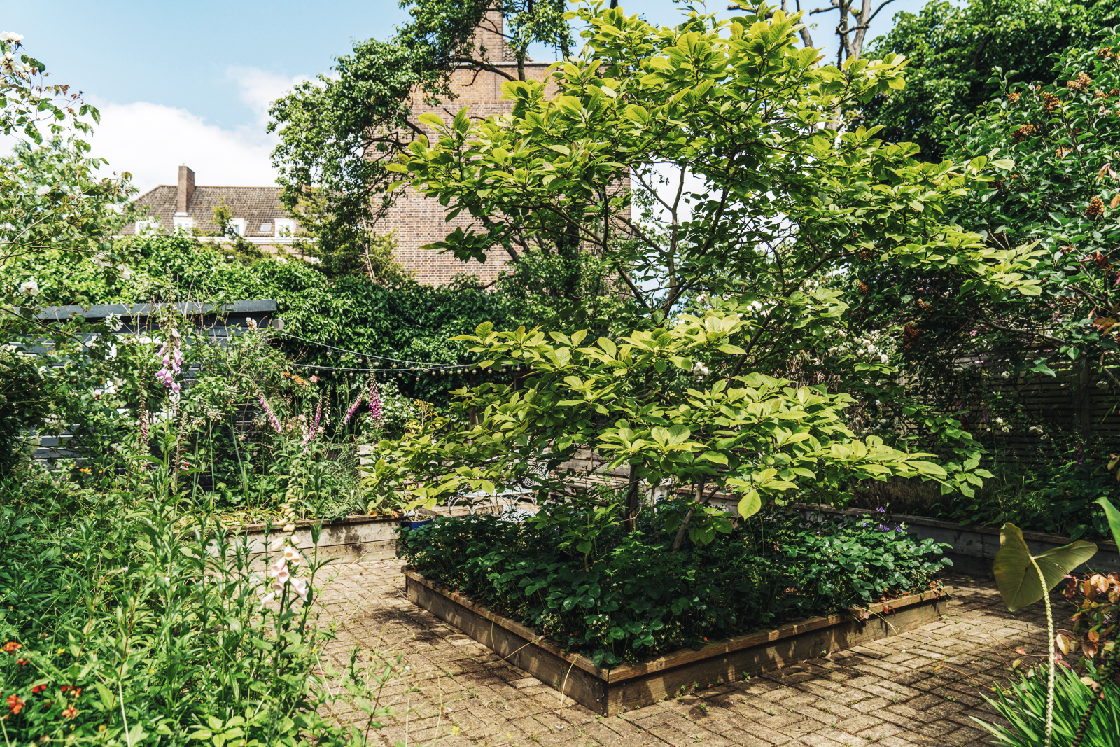 jardin de ville jardin de ville