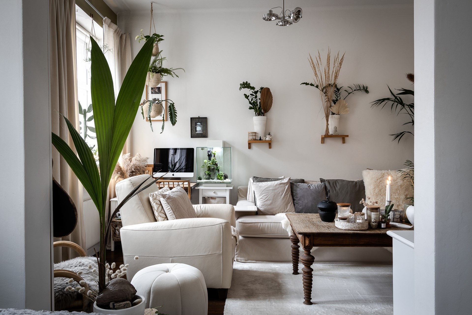 salon avec plantes décoration scandinave