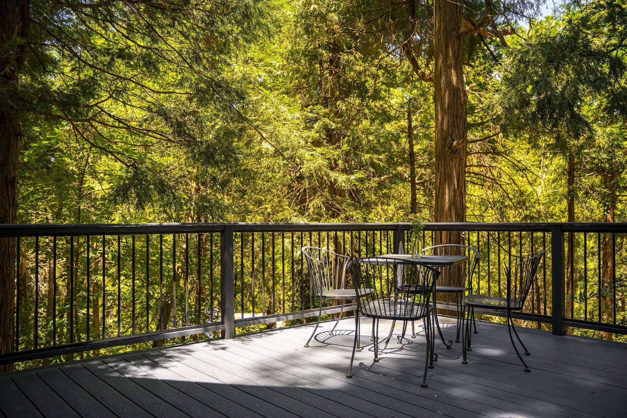 terrasse surélevée en bois