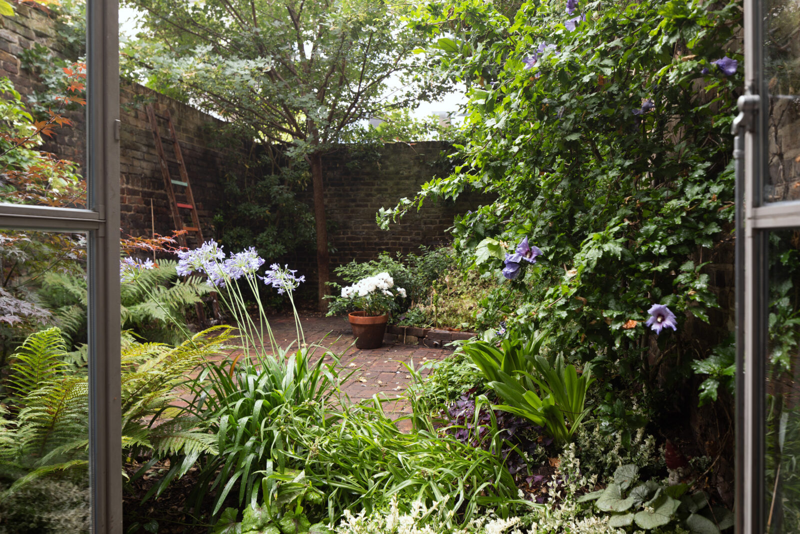 jardin maison de ville