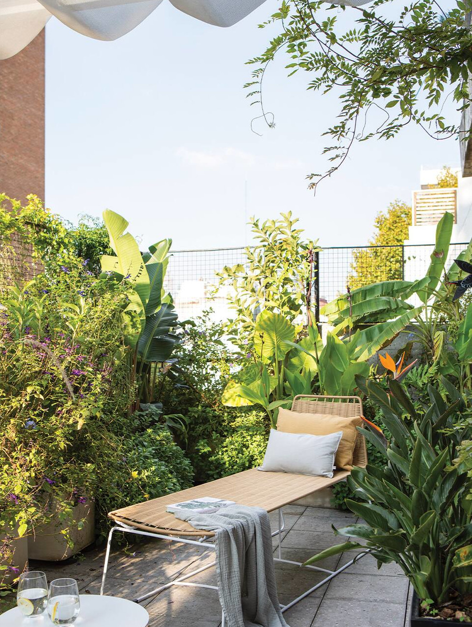 terrasse avec chaise-longue