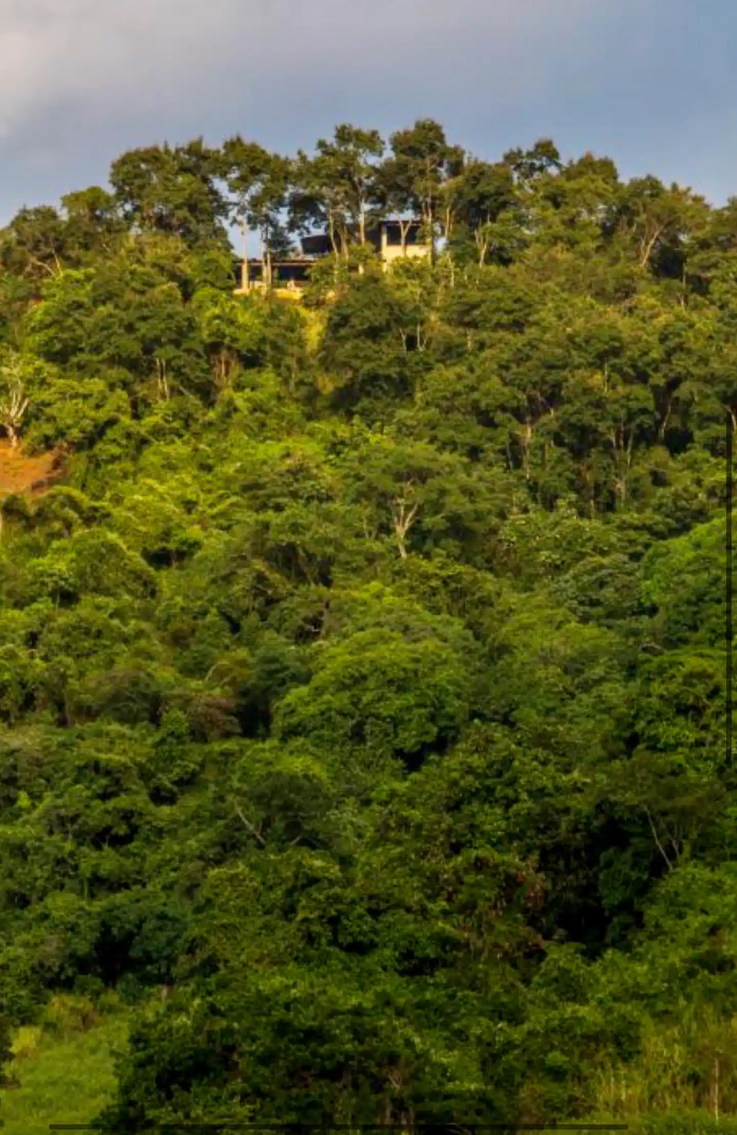 maison dans la nature maison dans la nature