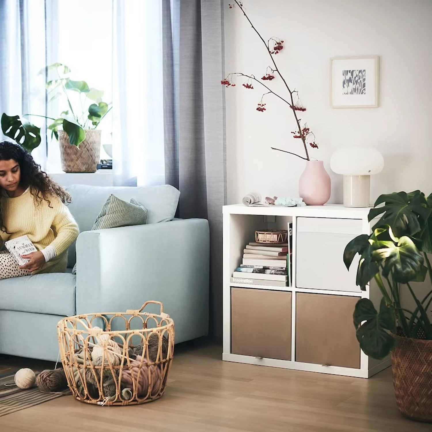 salon avec meuble à cases IKEA