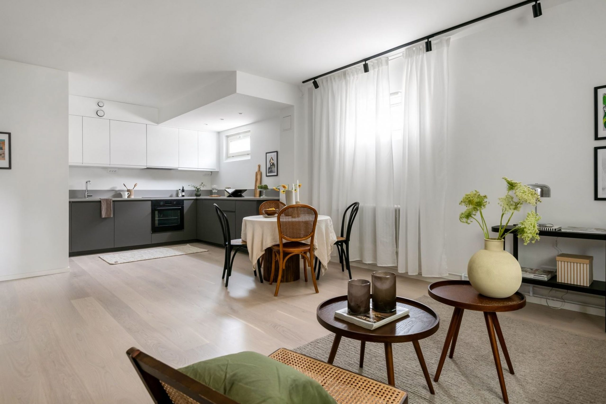 salon décoration scandinave deux-pièces de 56m2 avec verrière