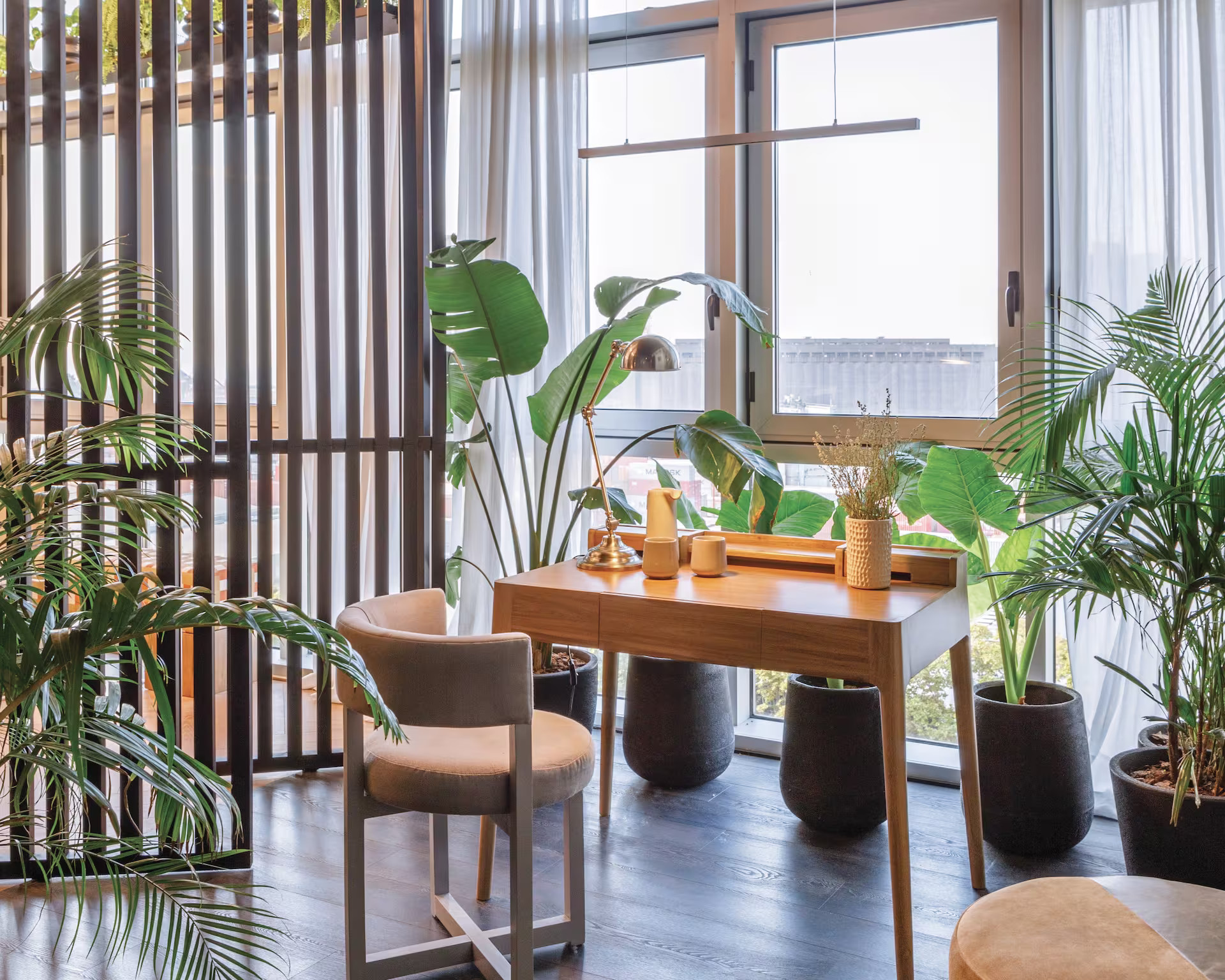 bureau avec plantes vertes bureau avec plantes vertes