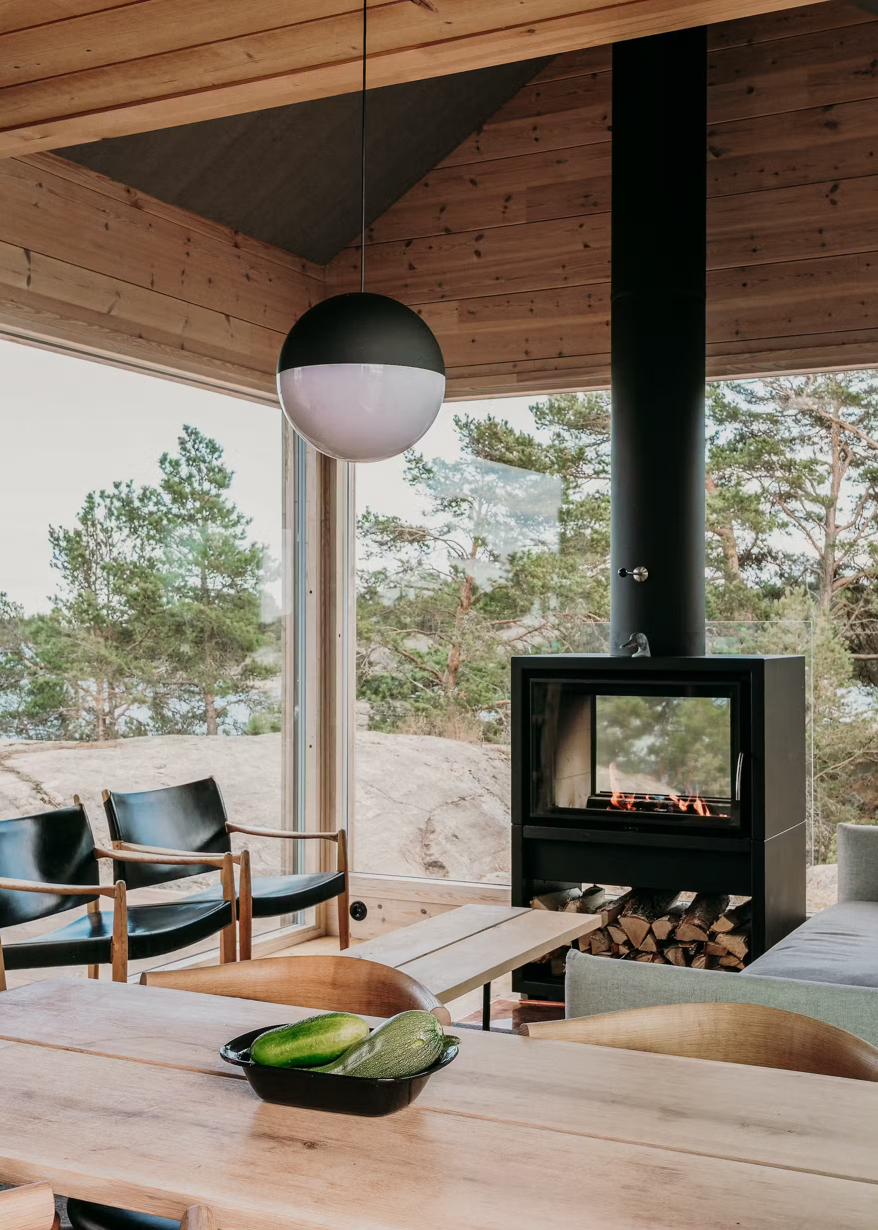 salon maison en bois