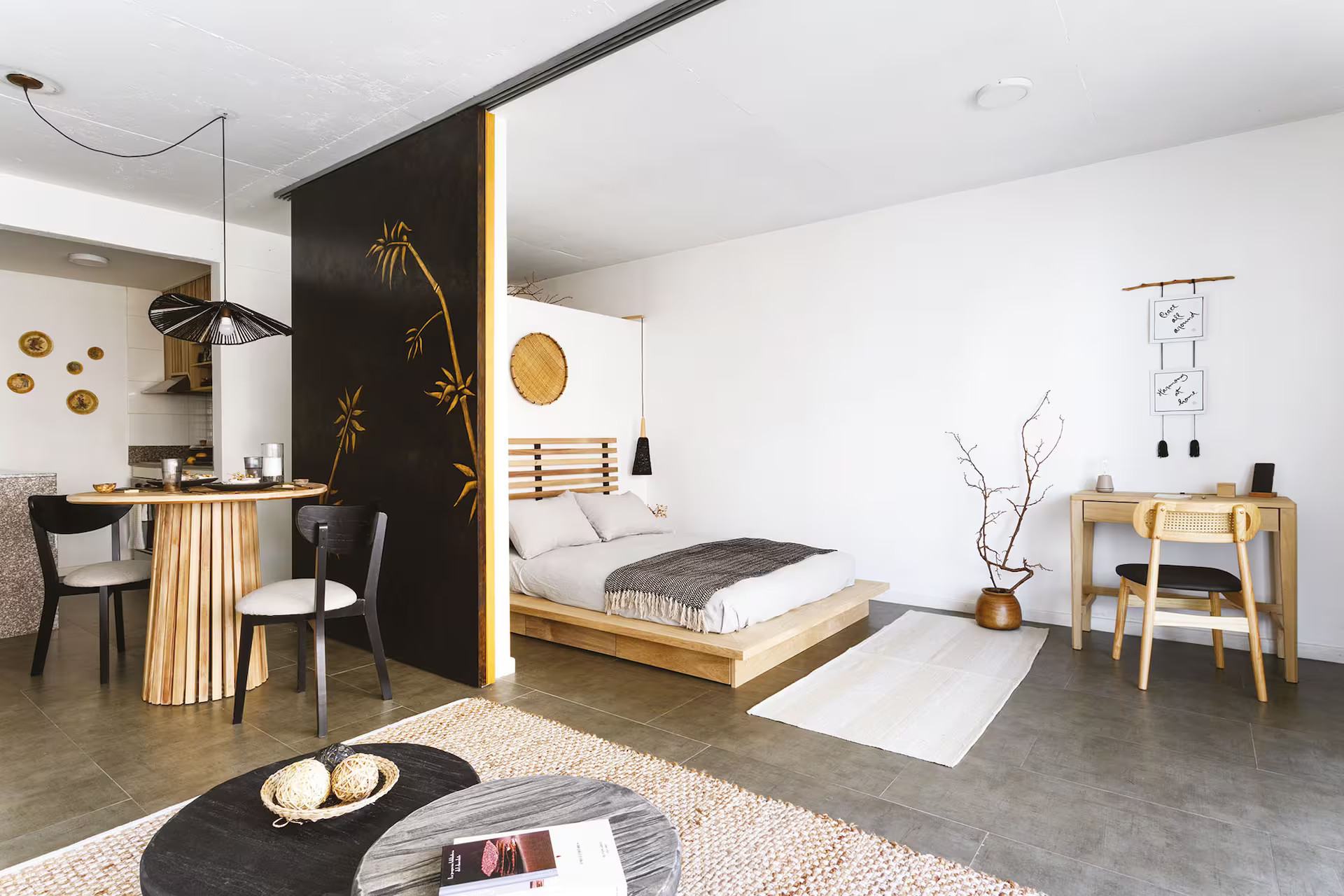 salon et espace chambre mini loft 50m2