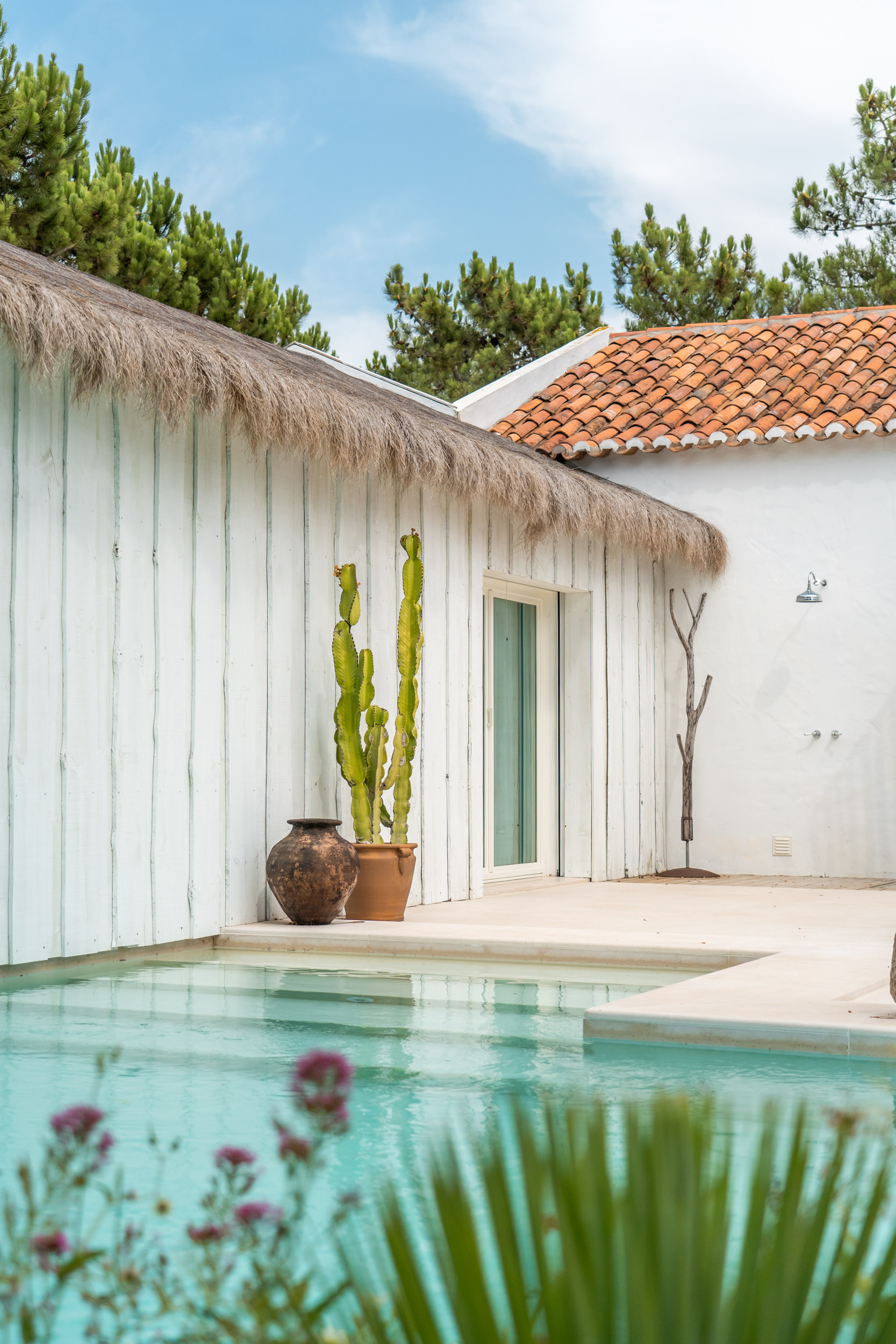 maison dans les pins Comporta maison dans les pins Comporta