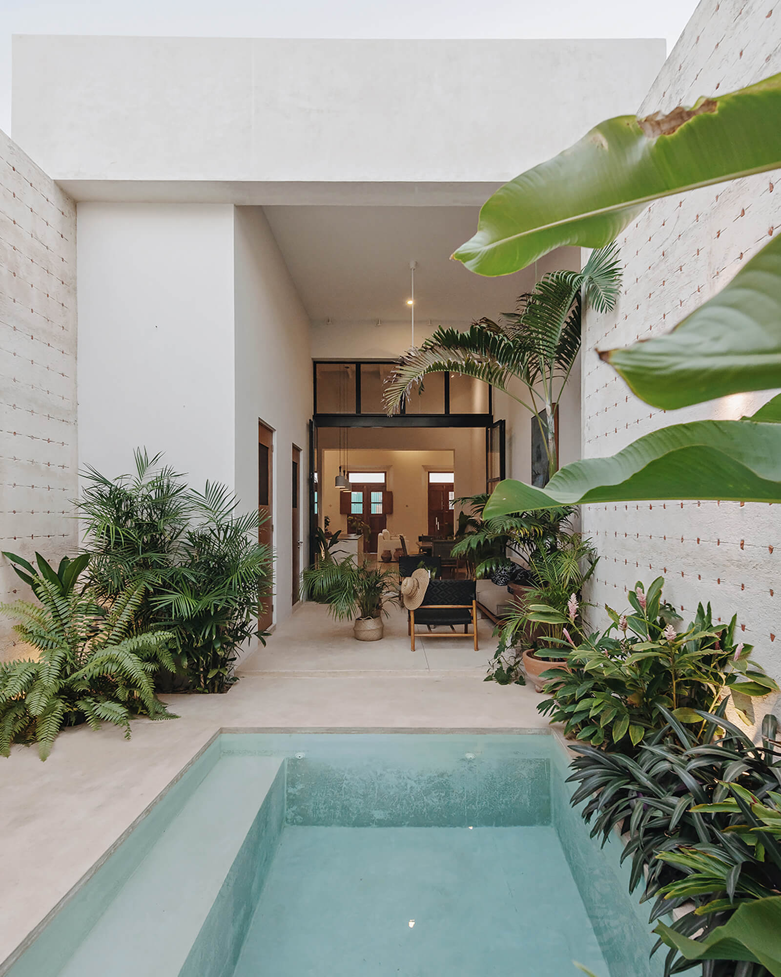 jardin avec piscine maison de ville