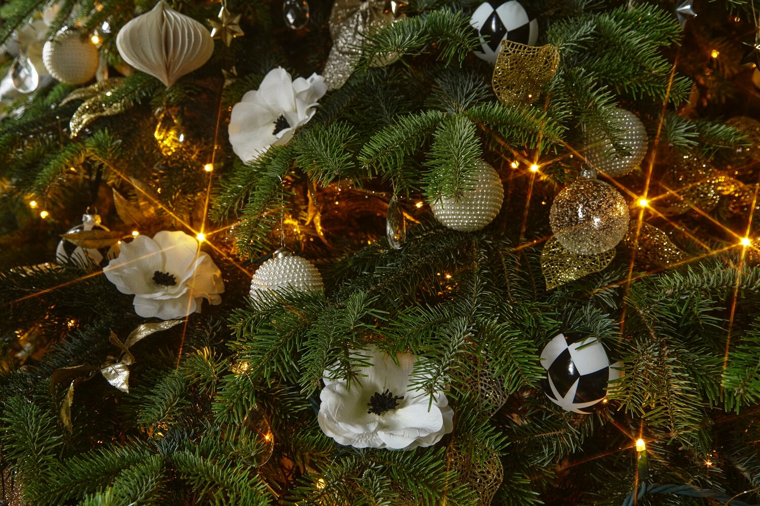 sapin de Noël sapin de Noël
